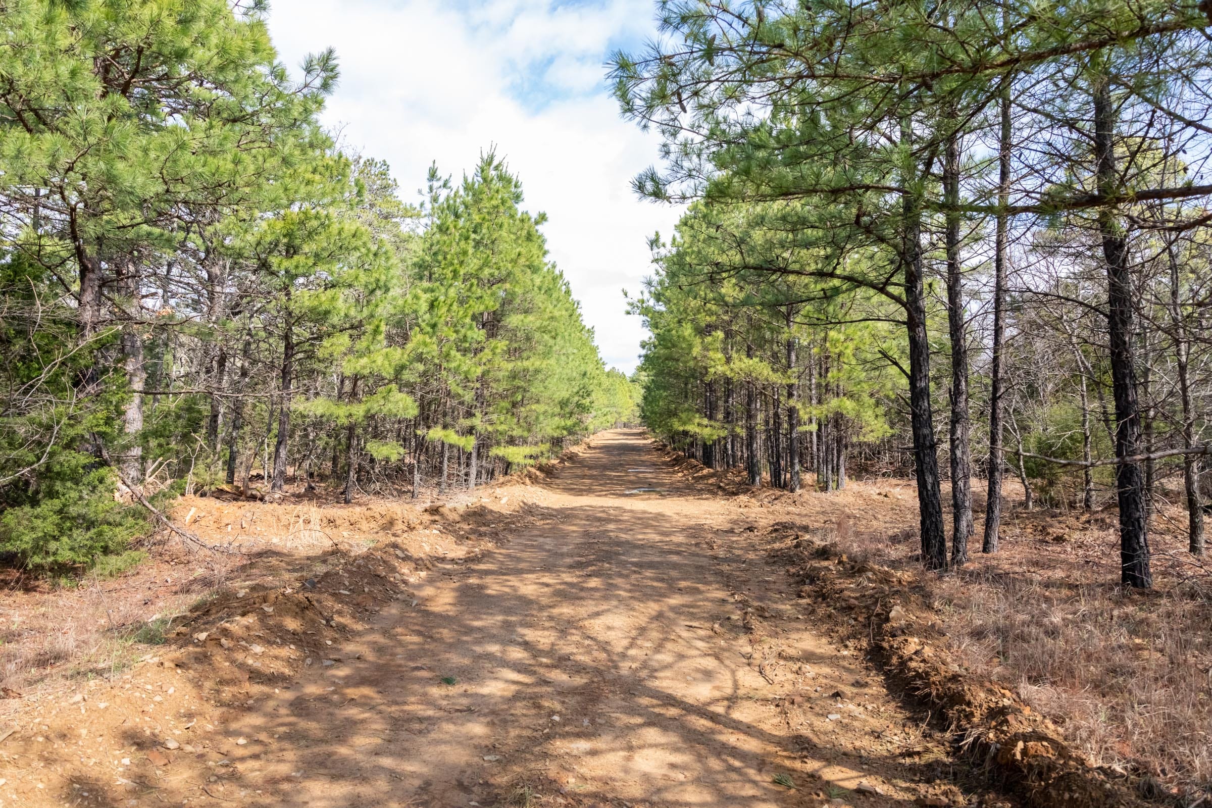 Stone Bridge Phase III Tract 185 photo 1