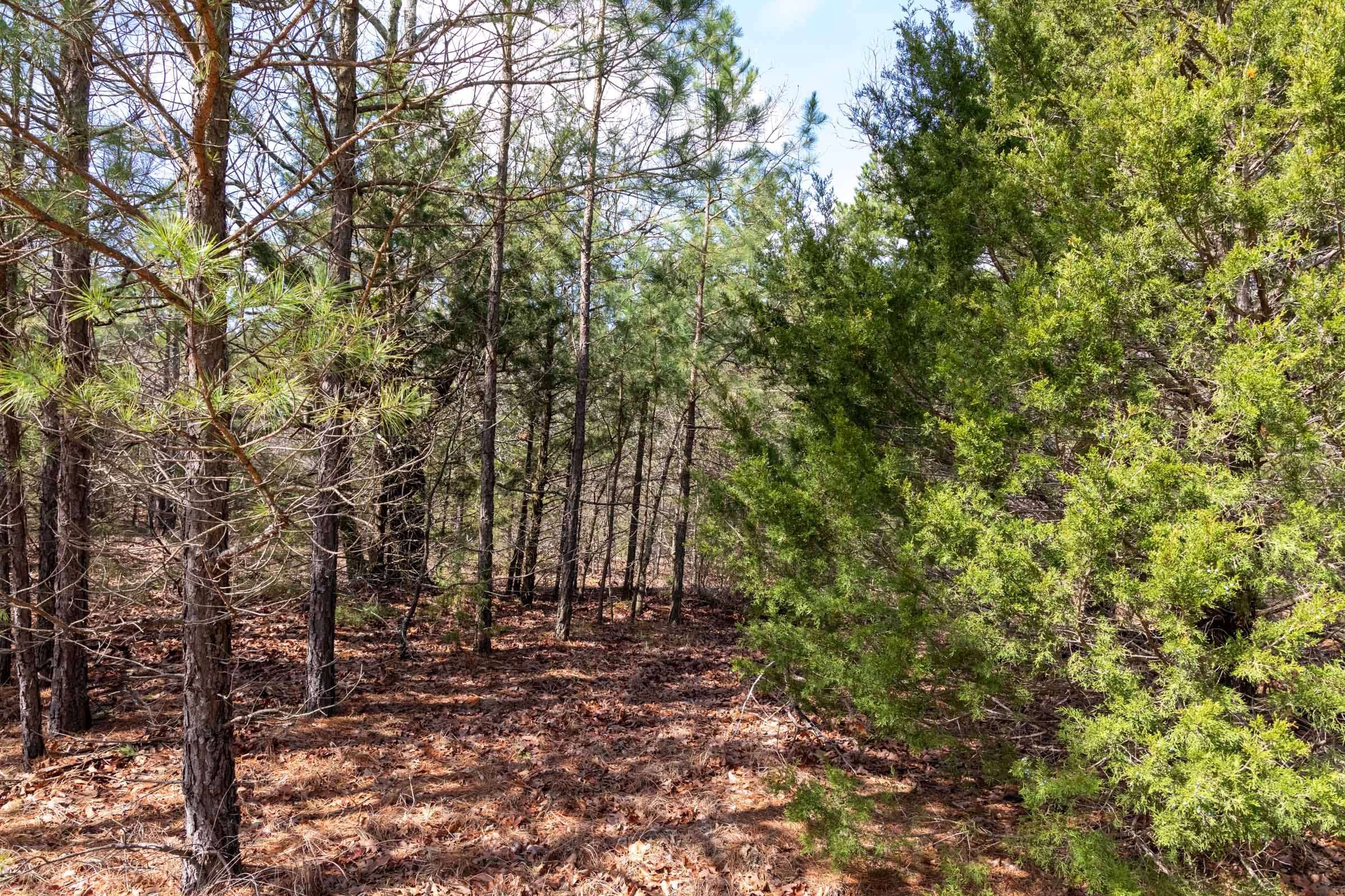 Stone Bridge Phase III Tract 185 photo 11