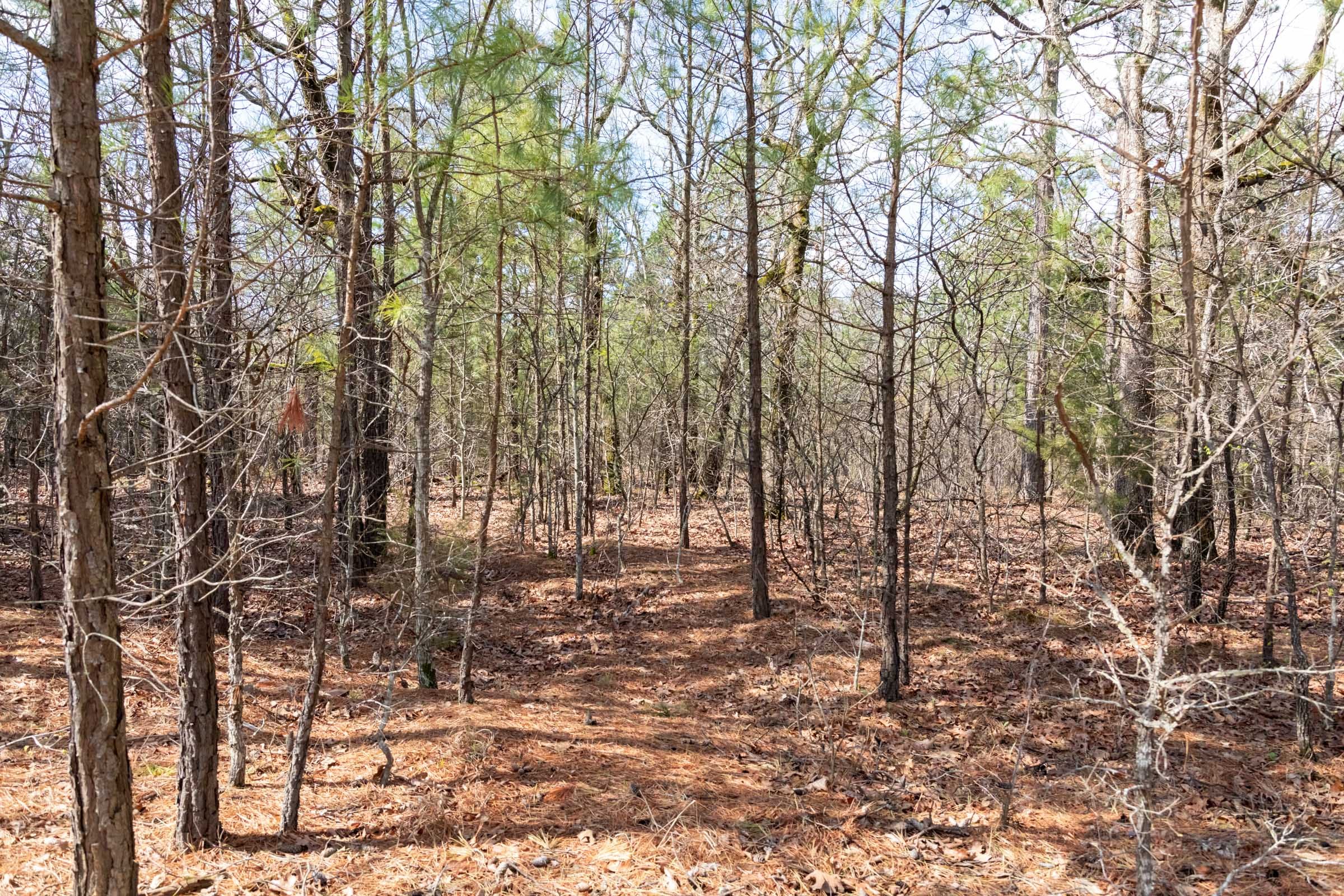 Stone Bridge Phase III Tract 185 photo 14