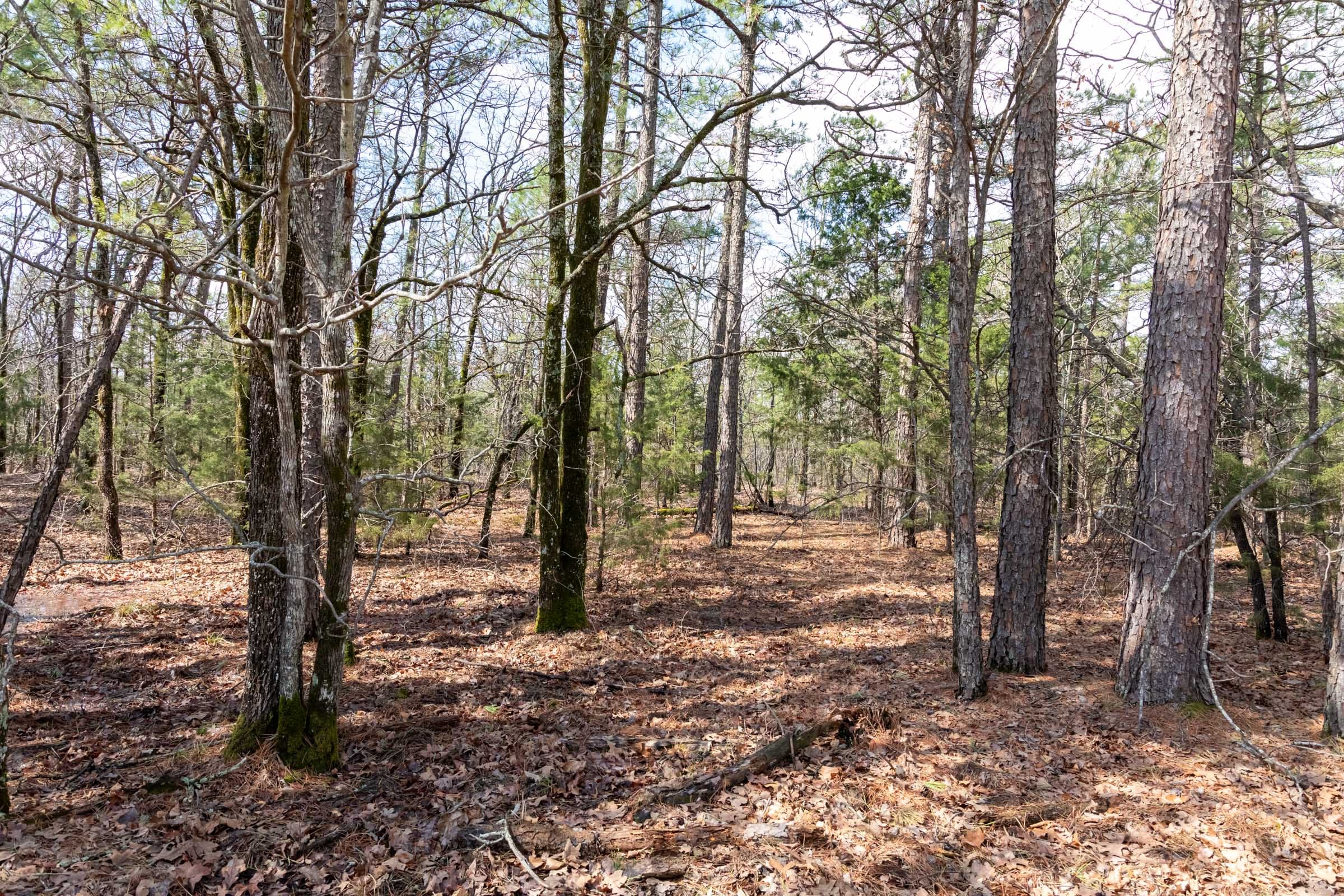 Stone Bridge Phase III Tract 185 photo 15