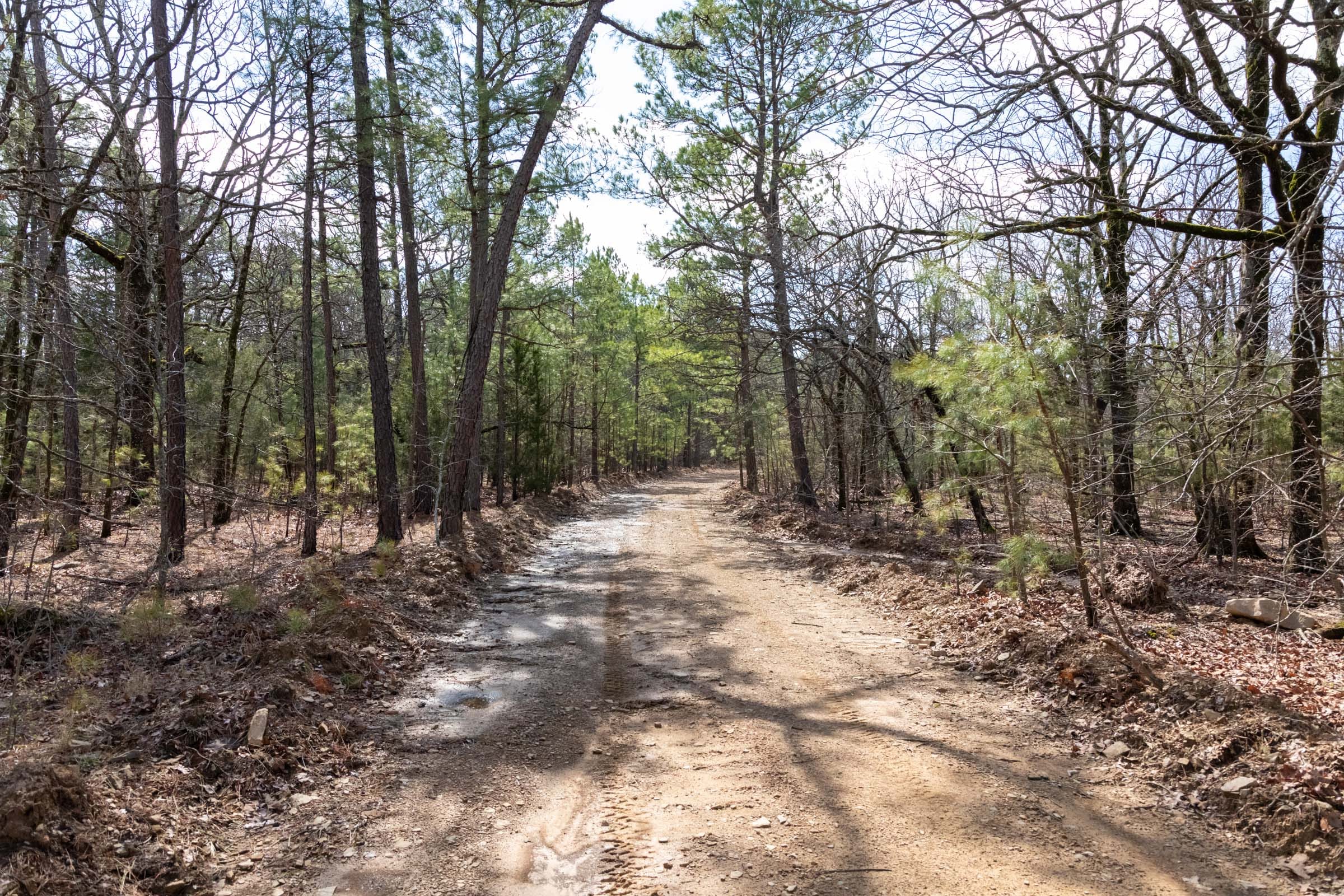 Stone Bridge Phase III Tract 185 photo 7