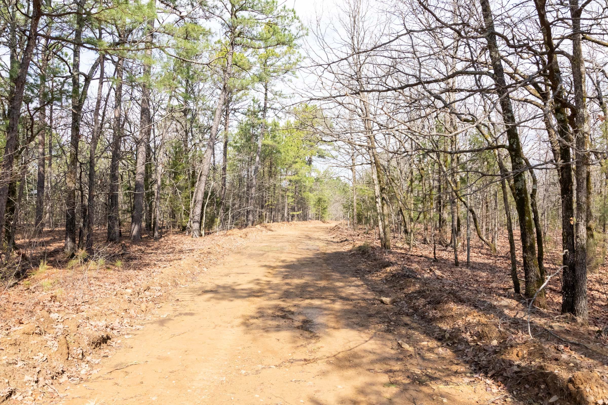 Stone Bridge Phase III Tract 185 photo 16