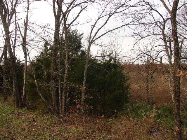 Mountain View Ranch Tract 5 photo 1