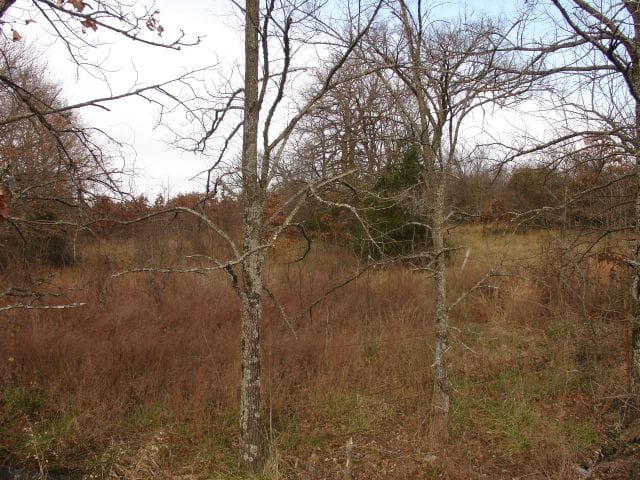 Mountain View Ranch Tract 5 photo 2