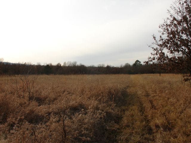 Mountain View Ranch Tract 5 photo 5