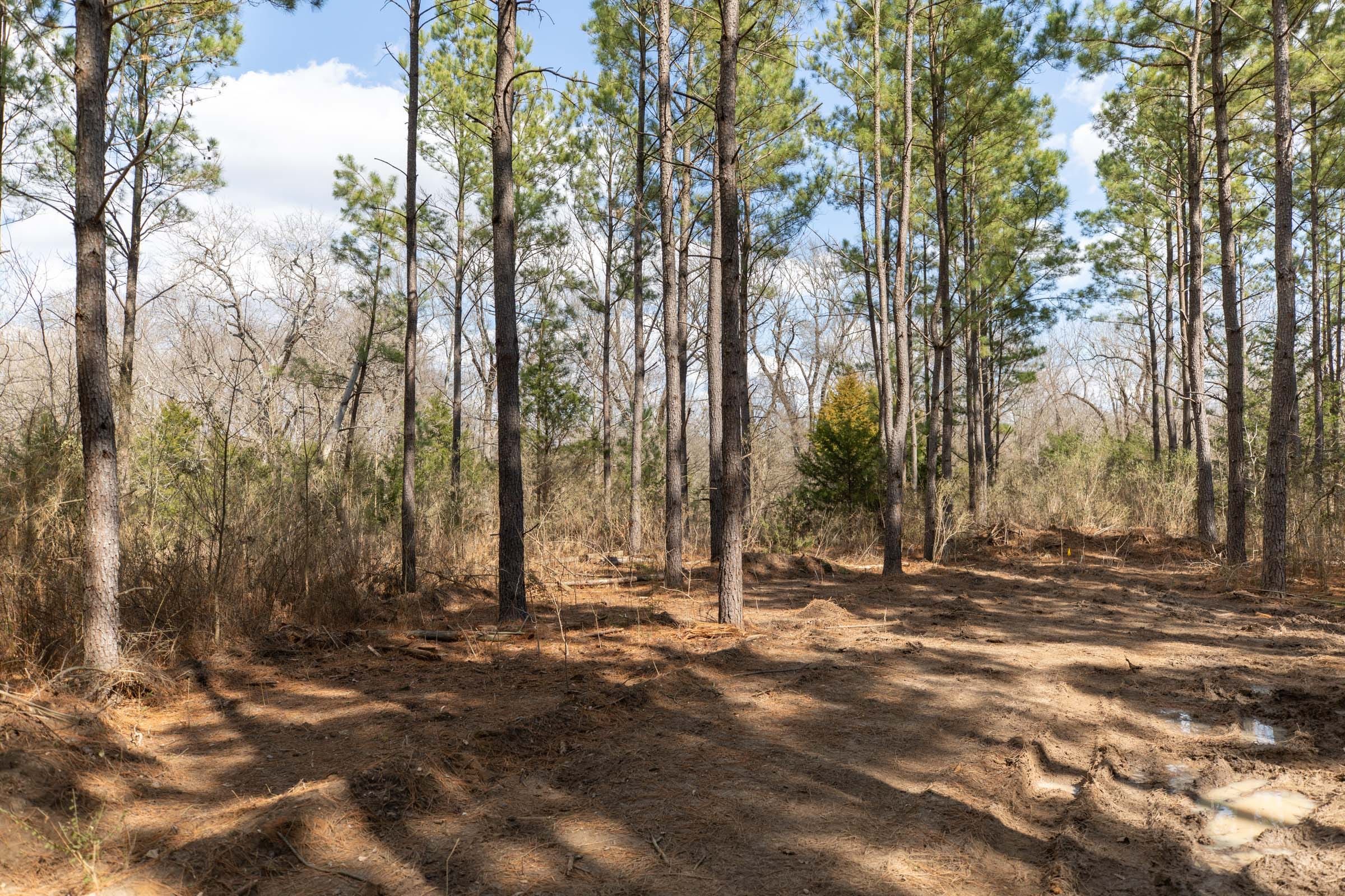 Wishing Star Ranch Tract 62 photo 5