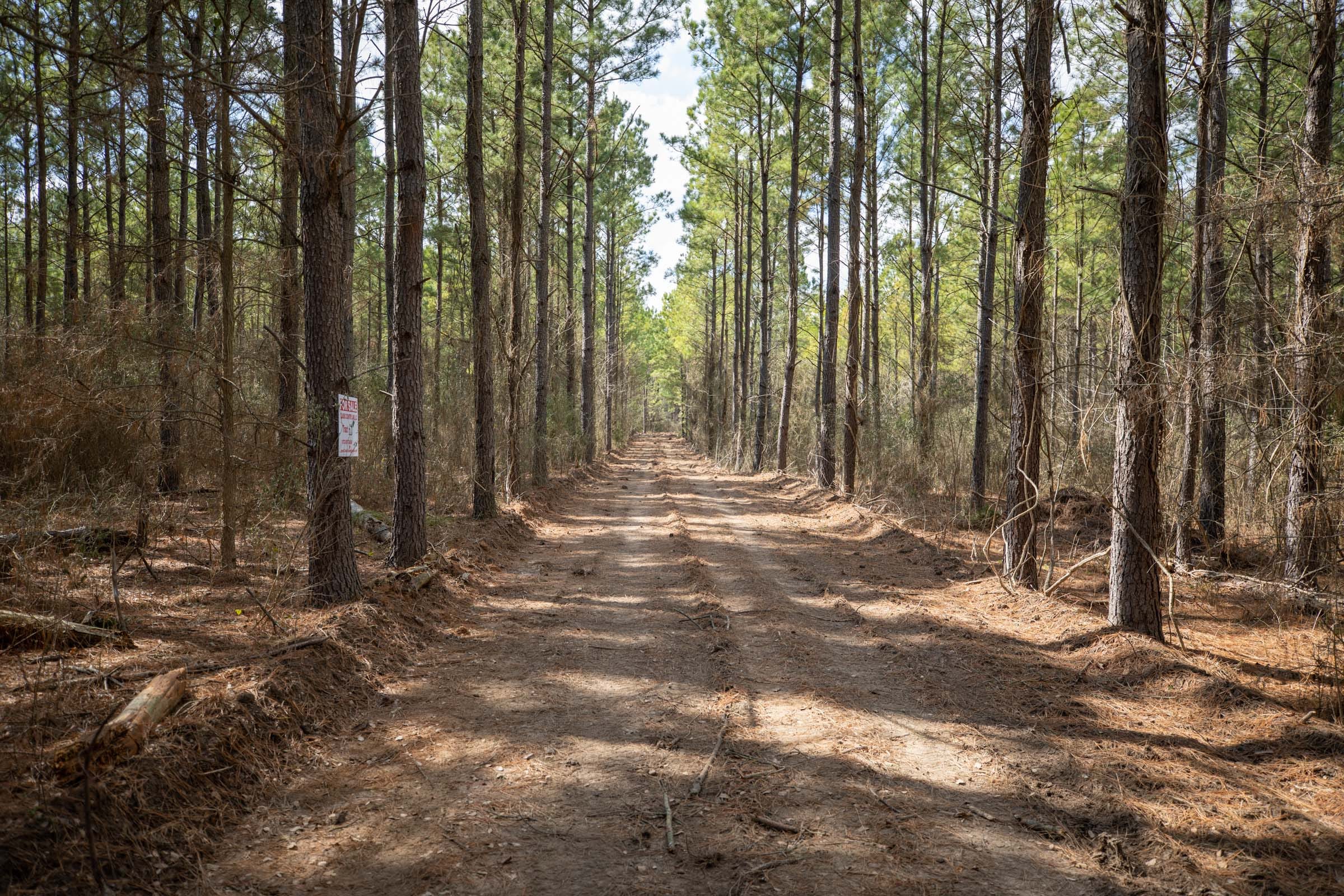 Wishing Star Ranch Tract 62 photo 6