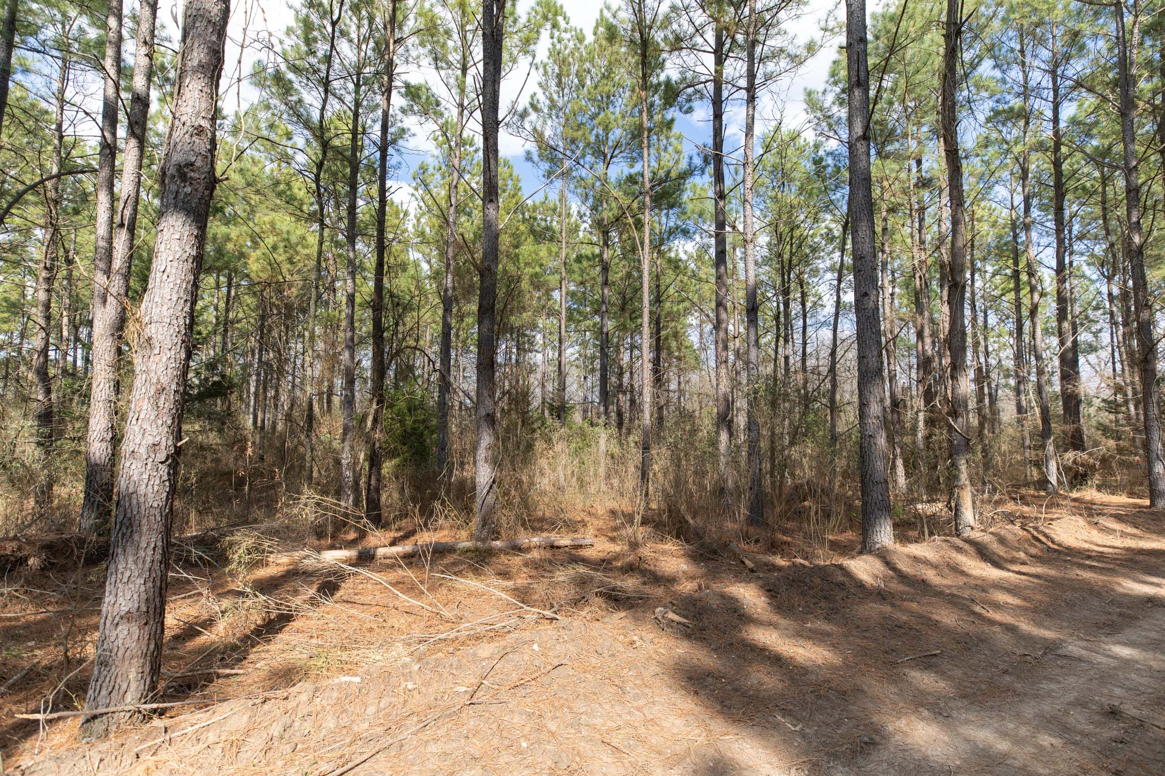 Wishing Star Ranch Tract 62 photo 10