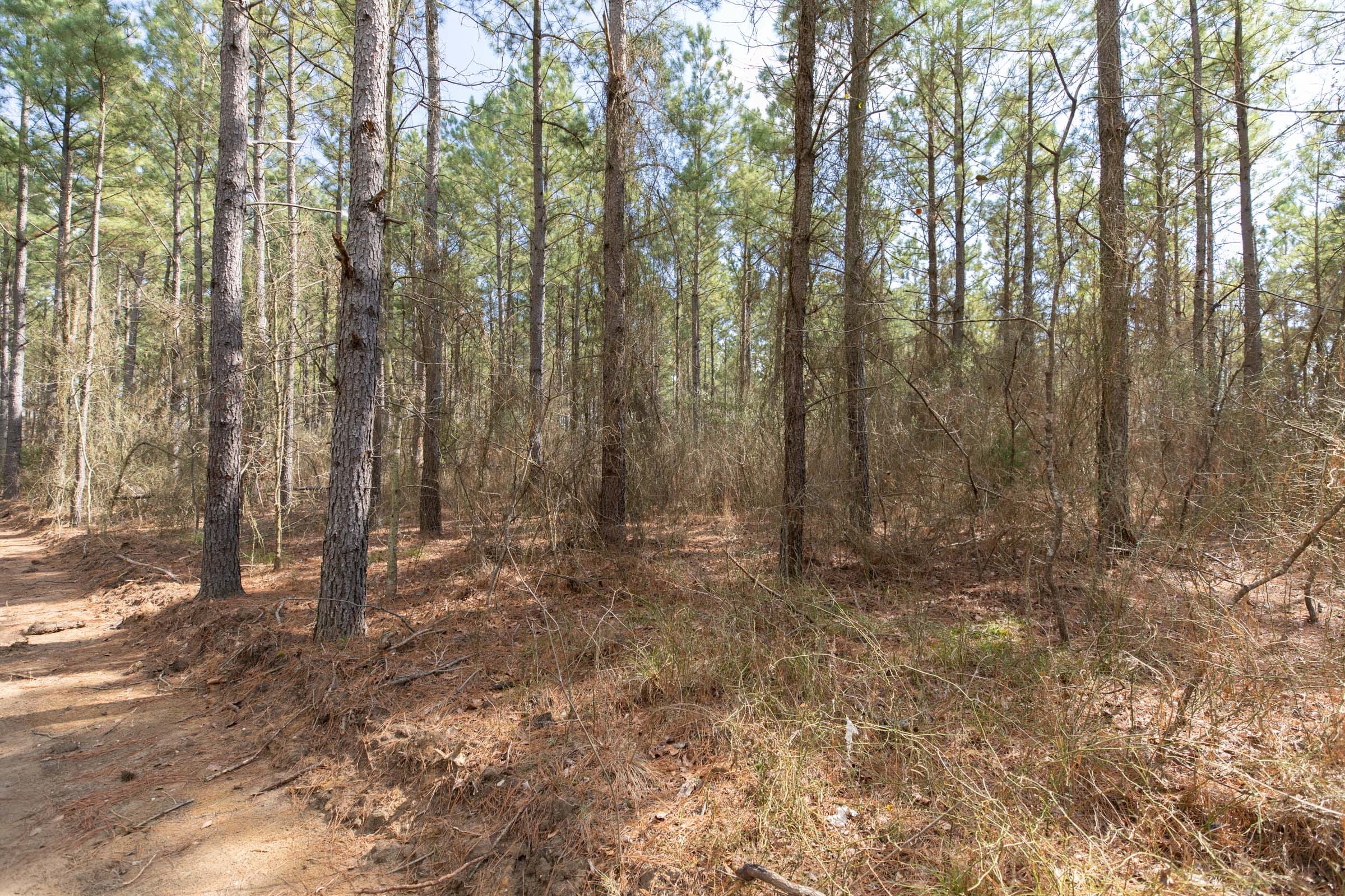 Wishing Star Ranch Tract 62 photo 12