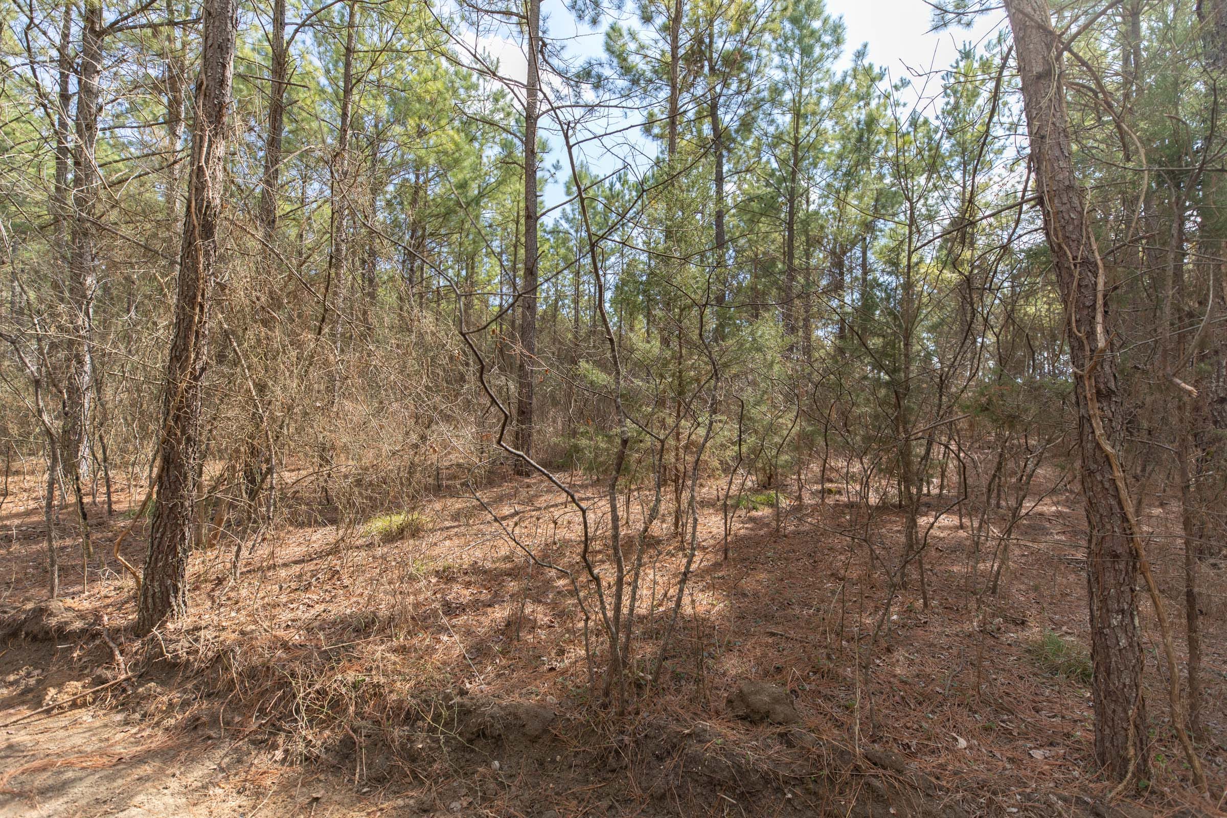 Wishing Star Ranch Tract 62 photo 13