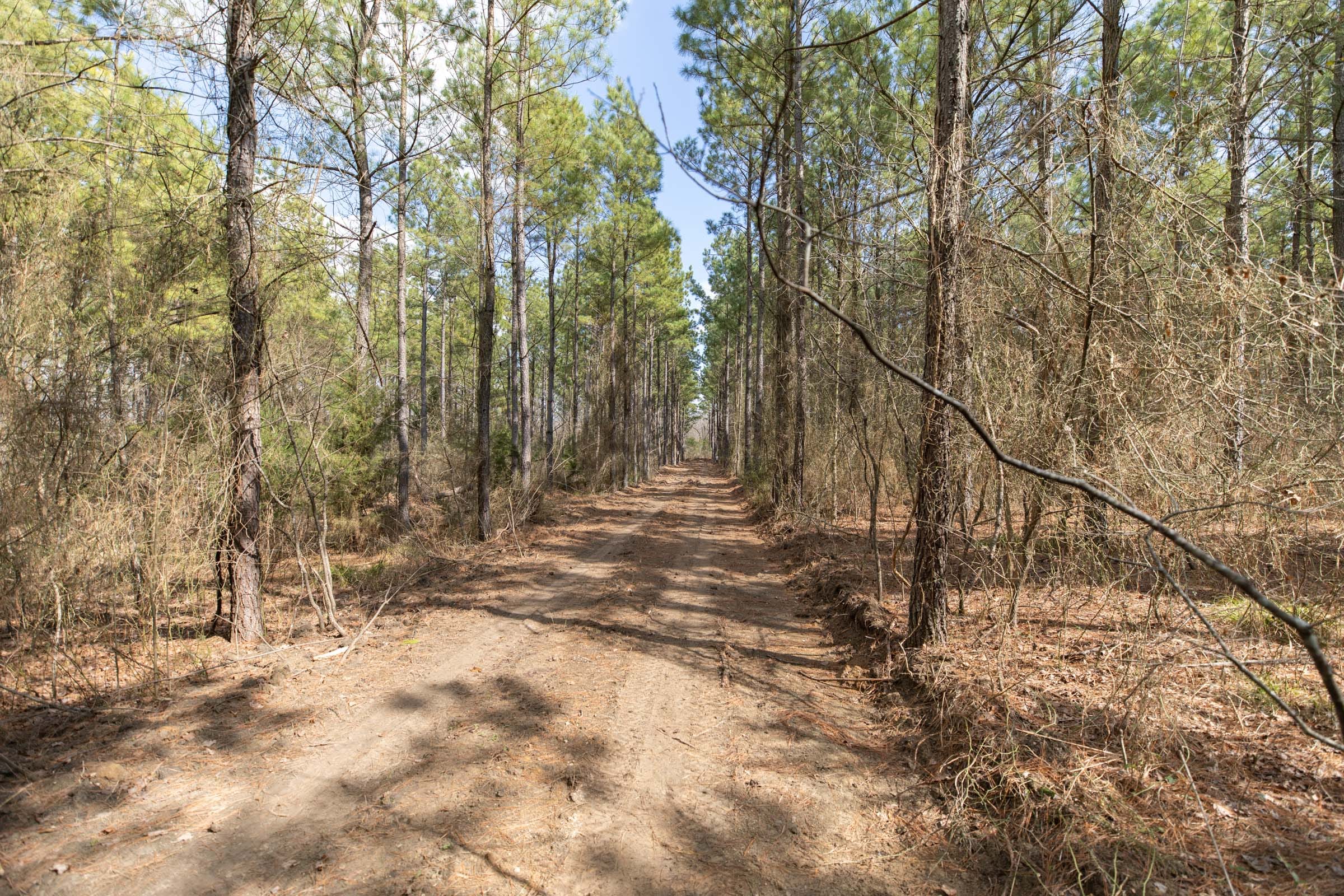 Wishing Star Ranch Tract 62 photo 14