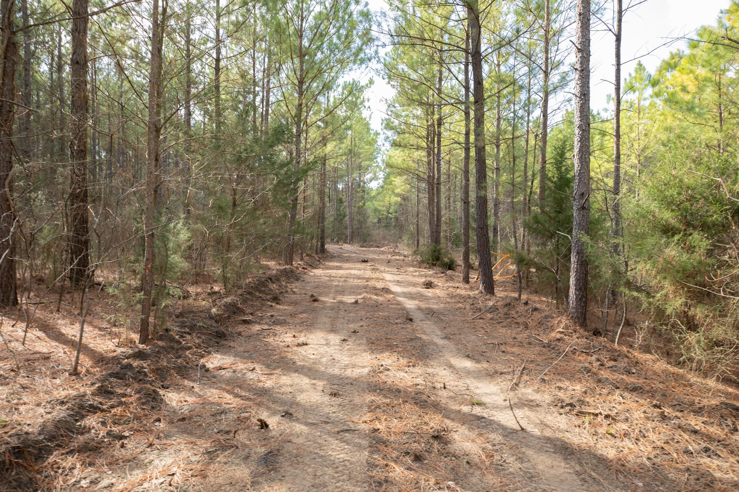 Wishing Star Ranch Tract 62 photo 16