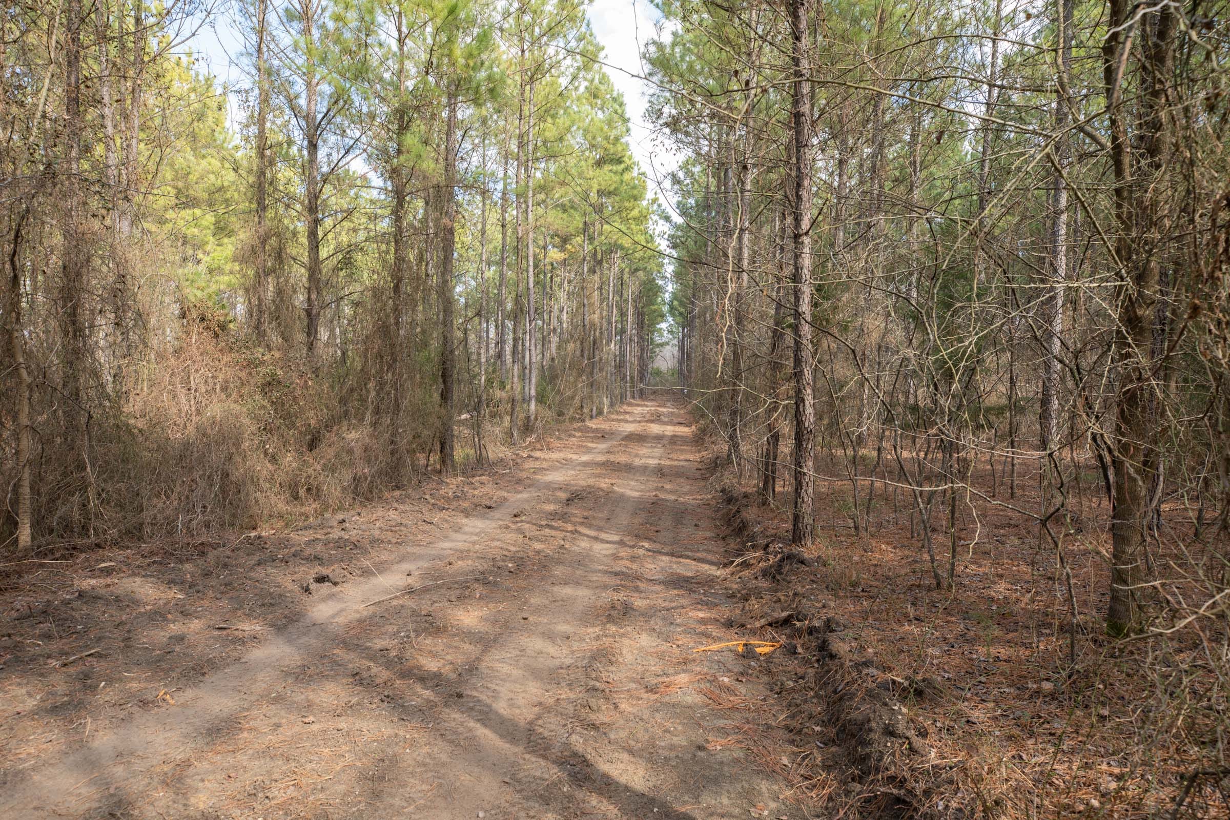 Wishing Star Ranch Tract 62 photo 17