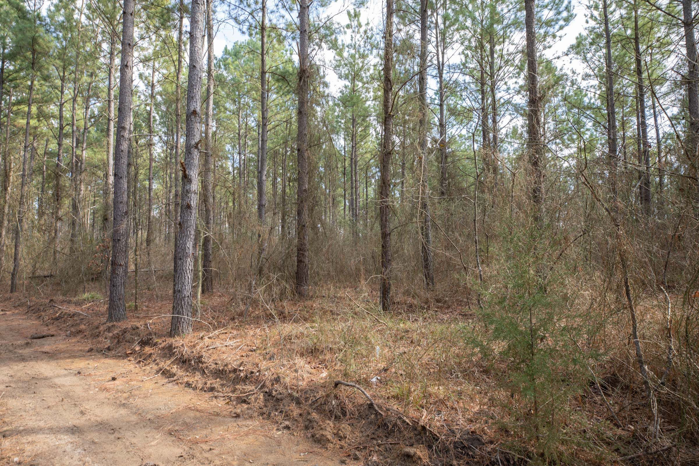 Wishing Star Ranch Tract 62 photo 19