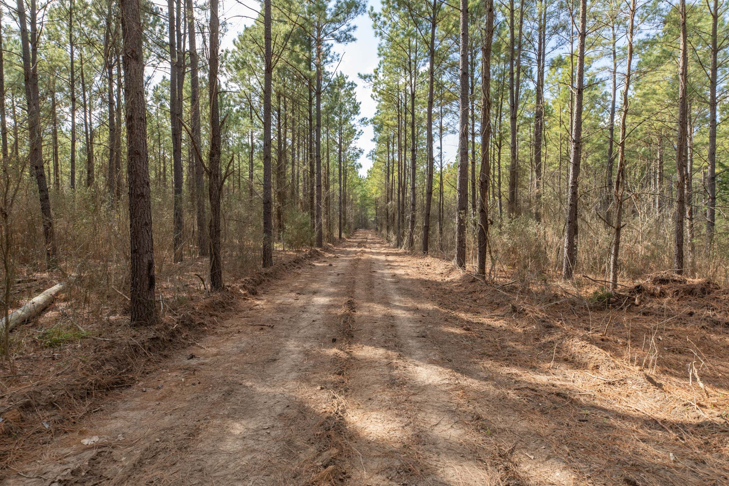 Wishing Star Ranch Tract 62 photo 3