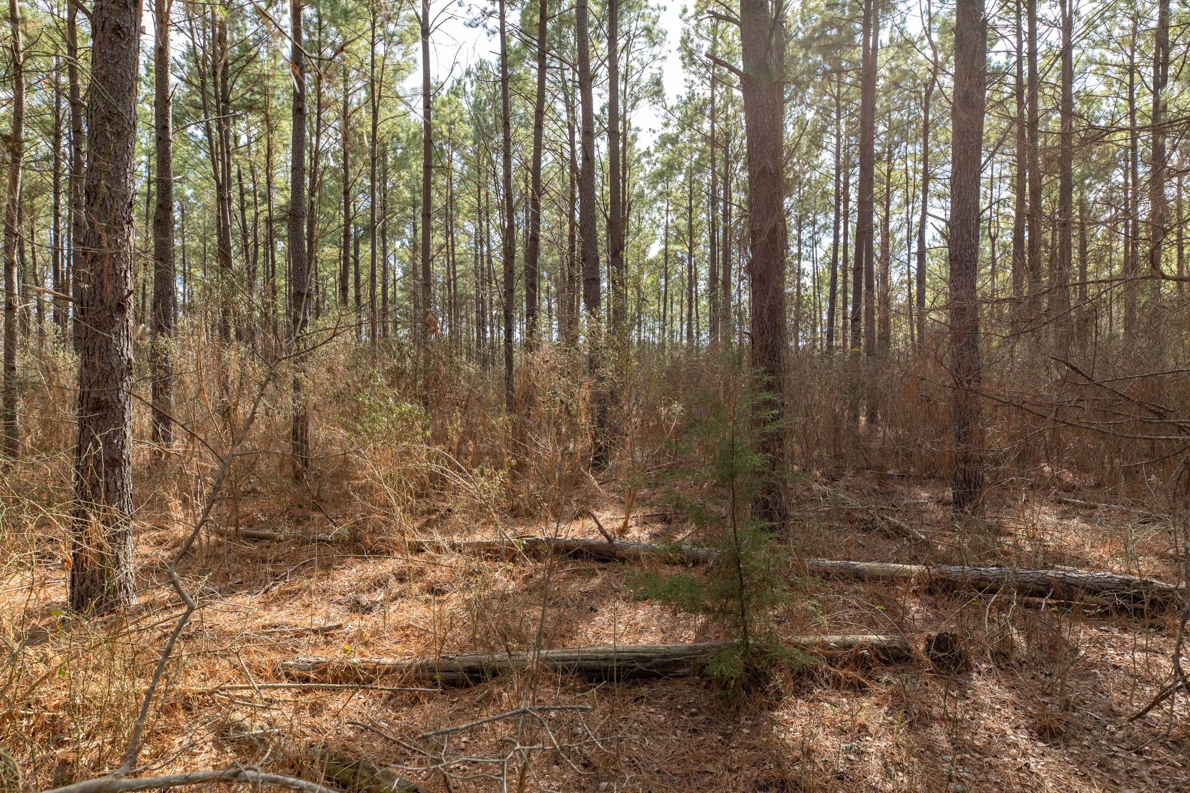 Wishing Star Ranch Tract 62 photo 23