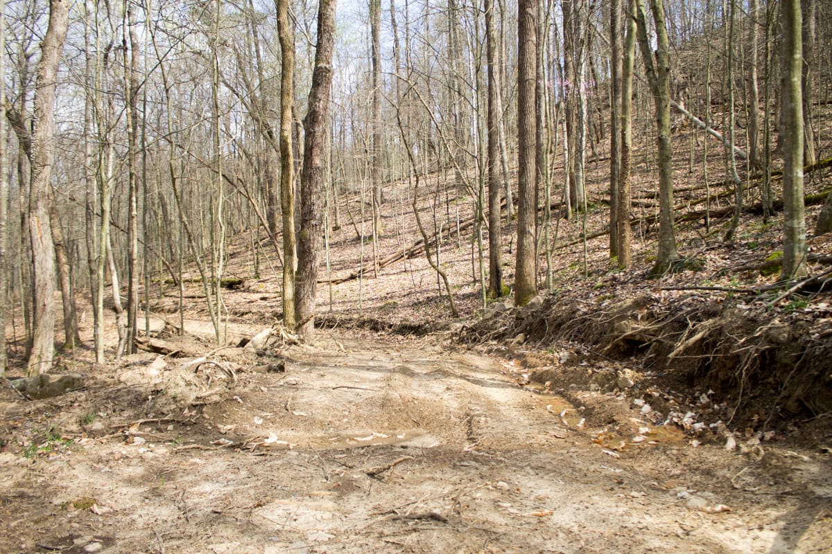 Chestnut Oak Ridge Tract 22 photo 1