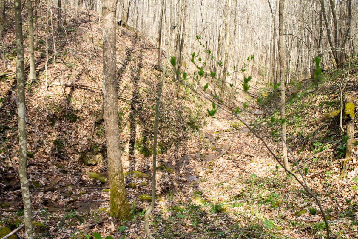 Chestnut Oak Ridge Tract 22 photo 5