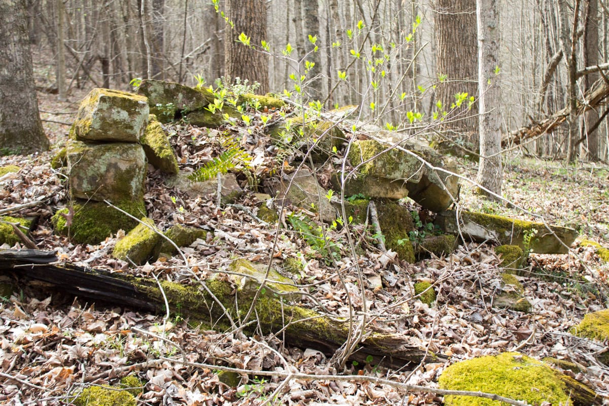 Chestnut Oak Ridge Tract 22 photo 17