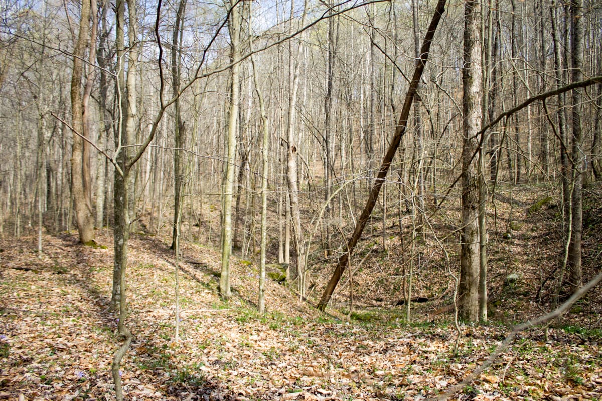 Chestnut Oak Ridge Tract 22 photo 22