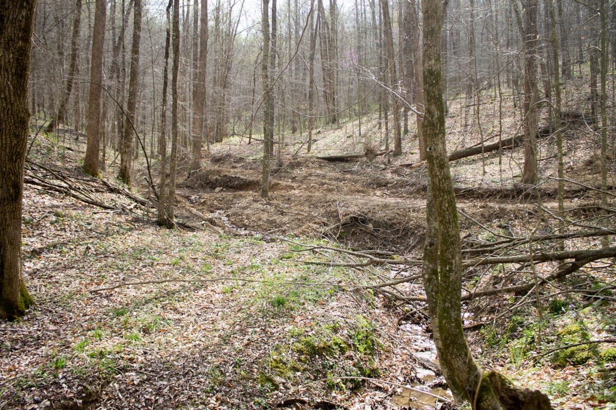 Chestnut Oak Ridge Tract 22 photo 23