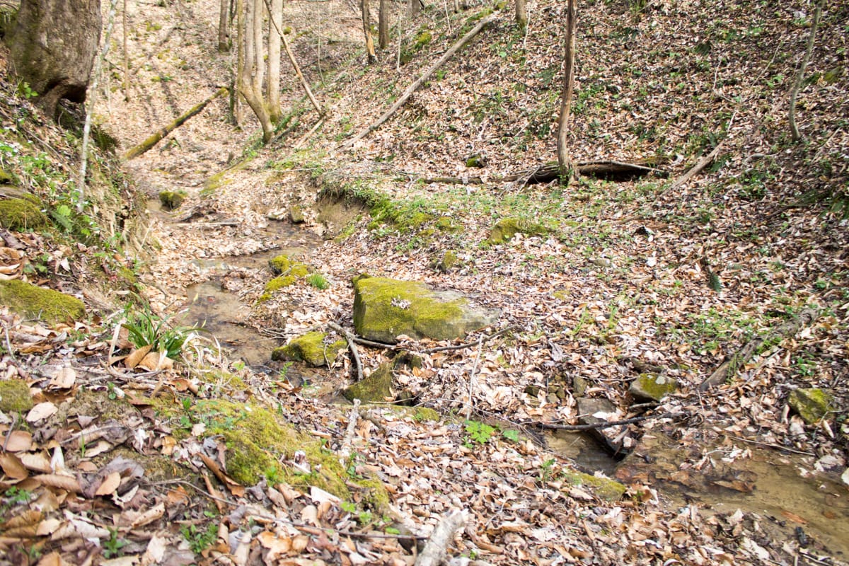 Chestnut Oak Ridge Tract 22 photo 25