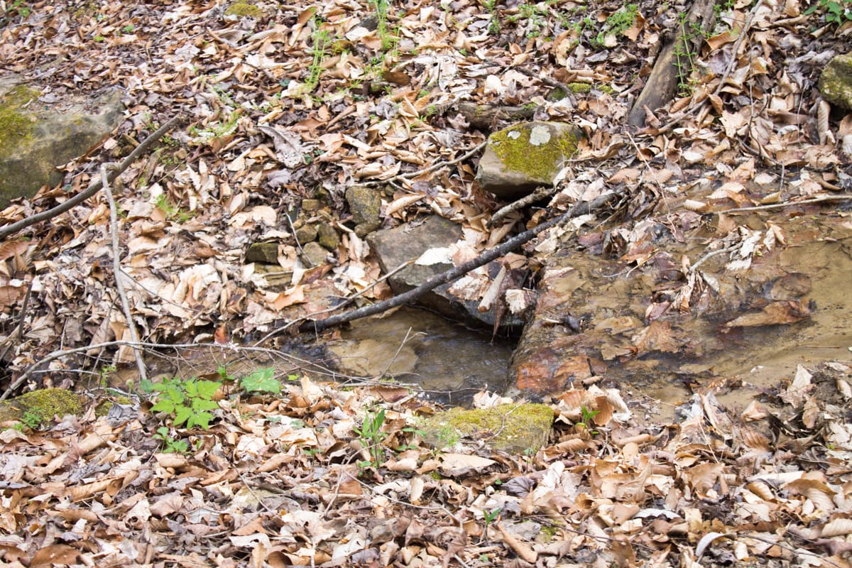 Chestnut Oak Ridge Tract 22 photo 26