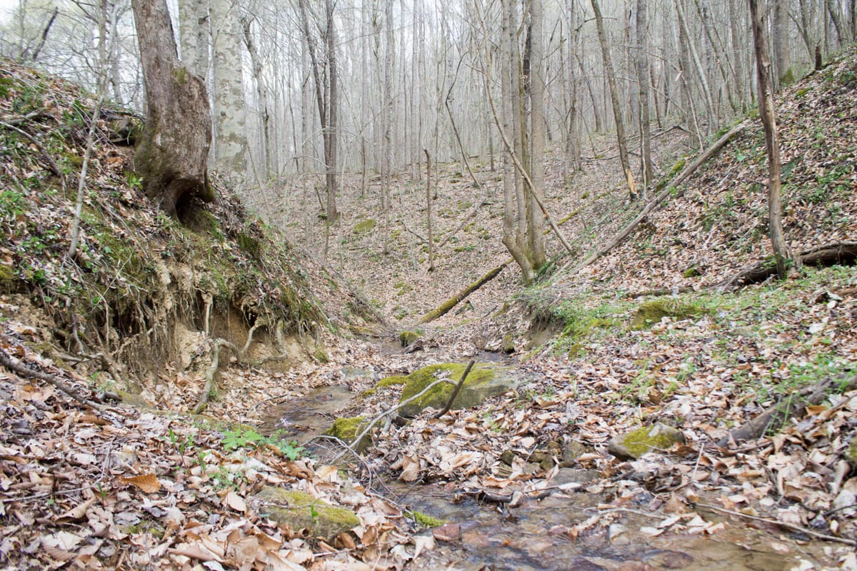 Chestnut Oak Ridge Tract 22 photo 27