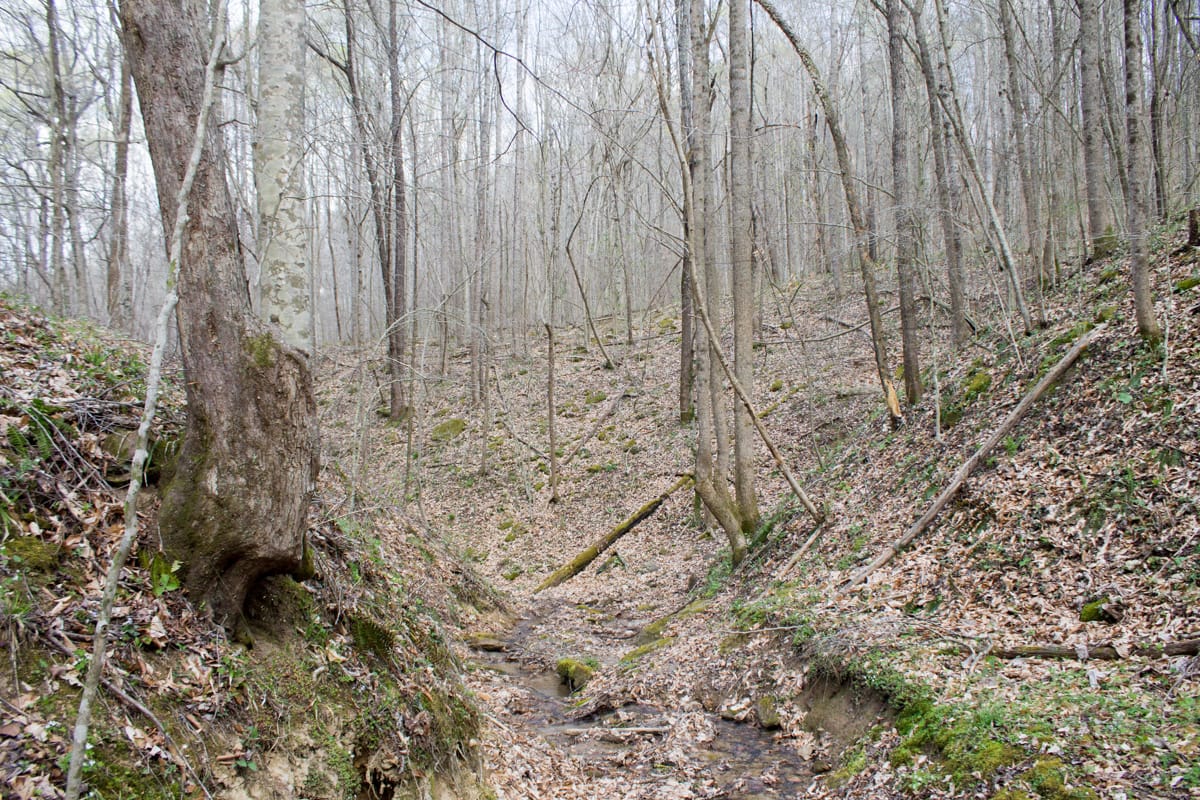 Chestnut Oak Ridge Tract 22 photo 29