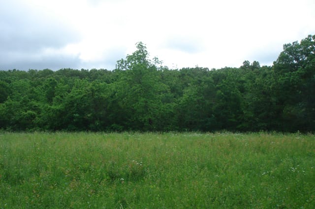 Whispering Oaks Tract 5 photo 2