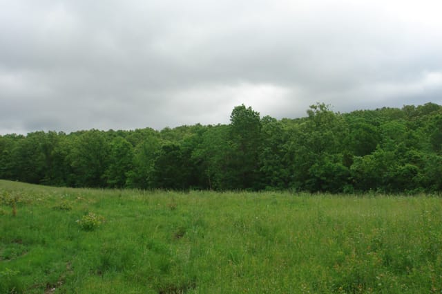 Whispering Oaks Tract 5 photo 3