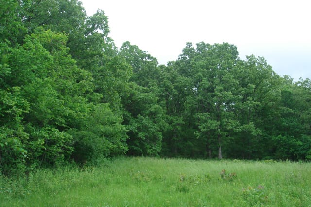 Whispering Oaks Tract 5 photo 4