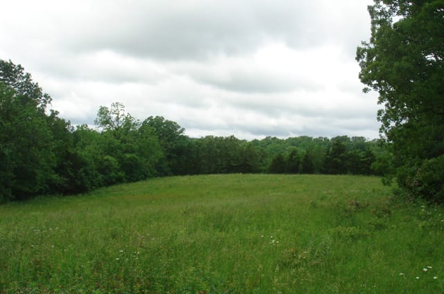Whispering Oaks Tract 5 photo 5