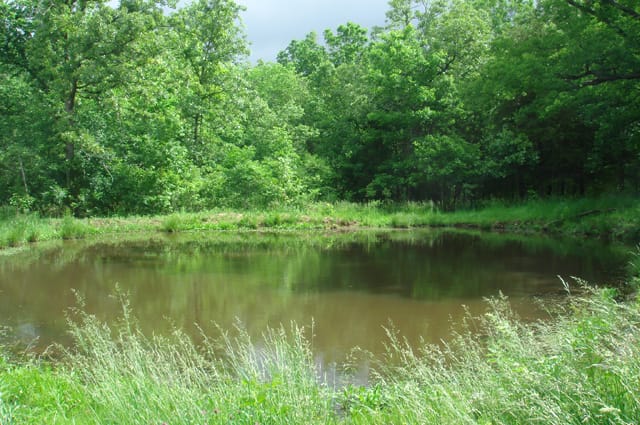 Whispering Oaks Tract 5 photo 1