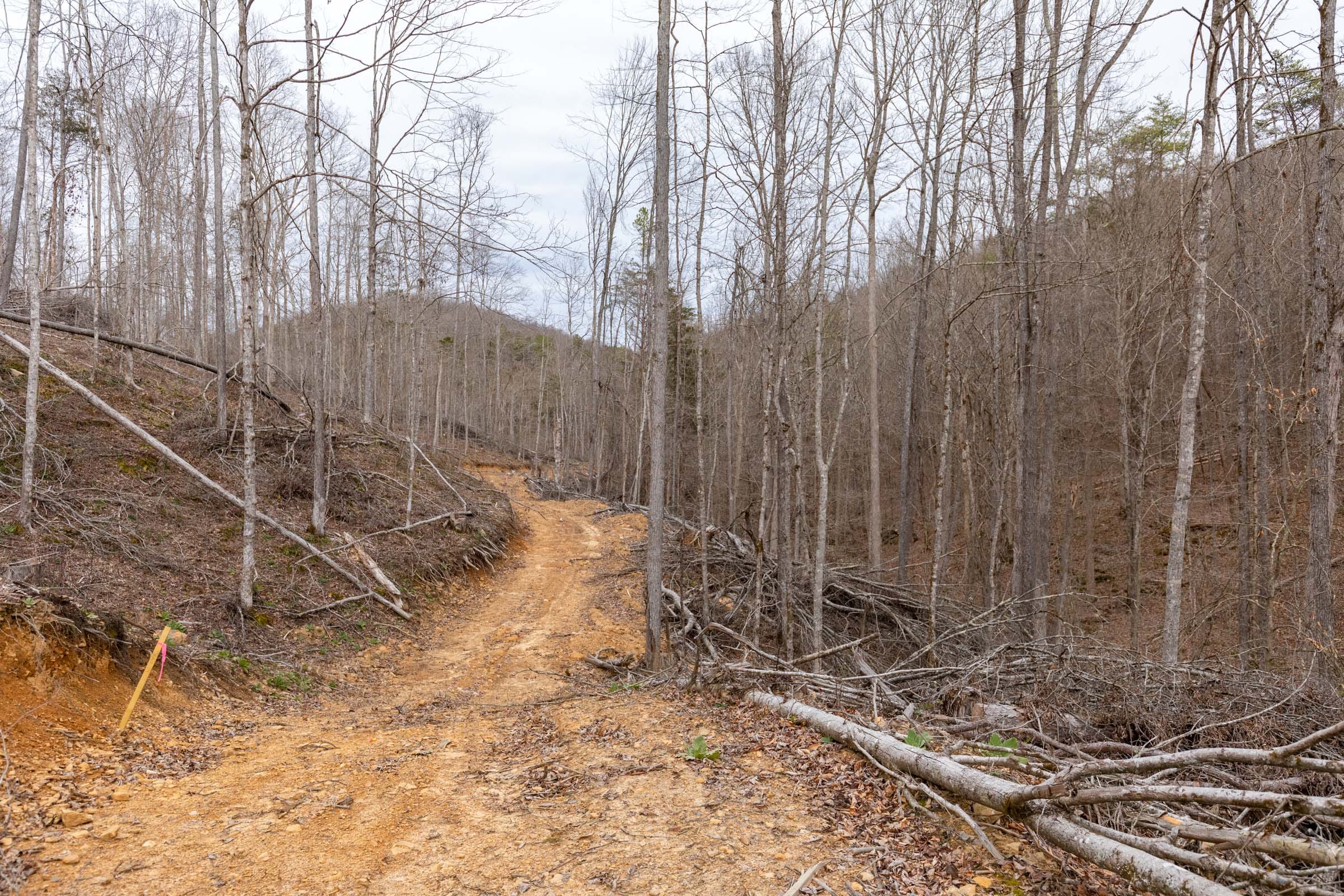 Creek Hollow Phase I Tract 14 photo 2