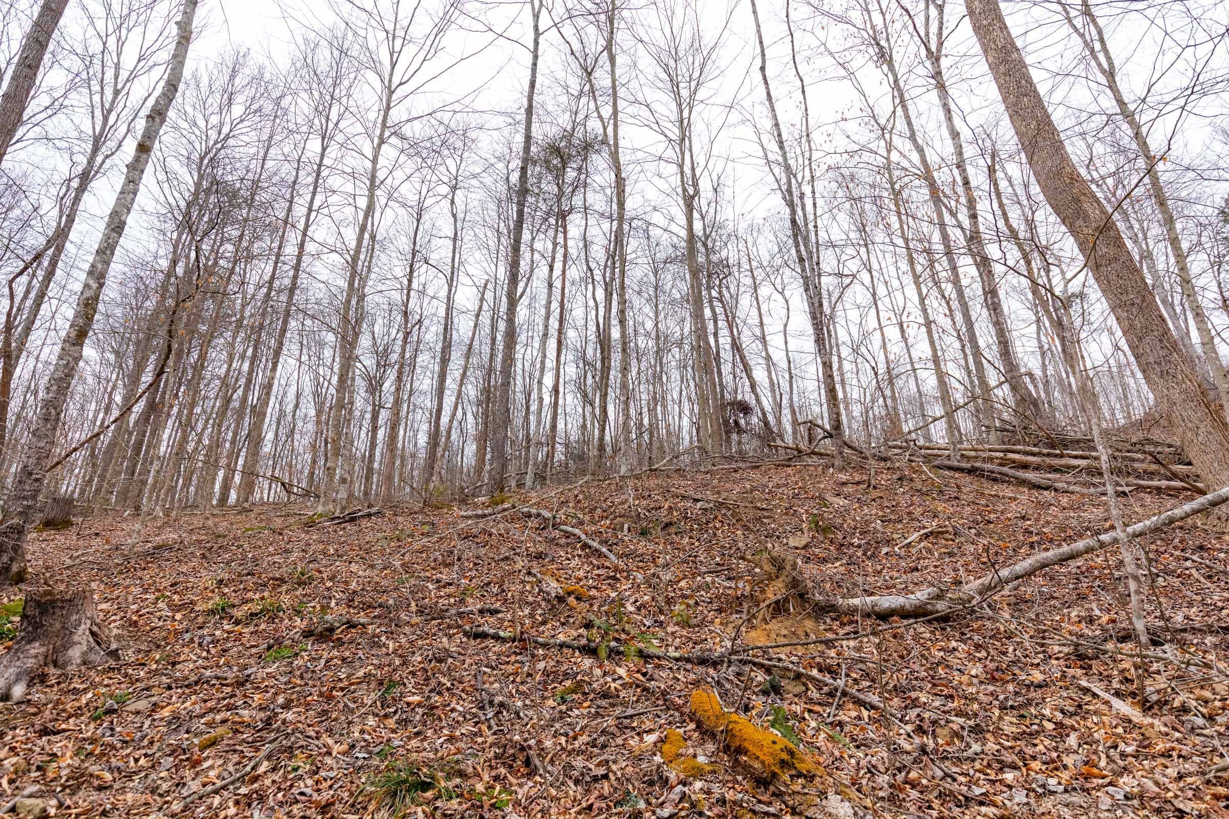 Creek Hollow Phase I Tract 14 photo 1