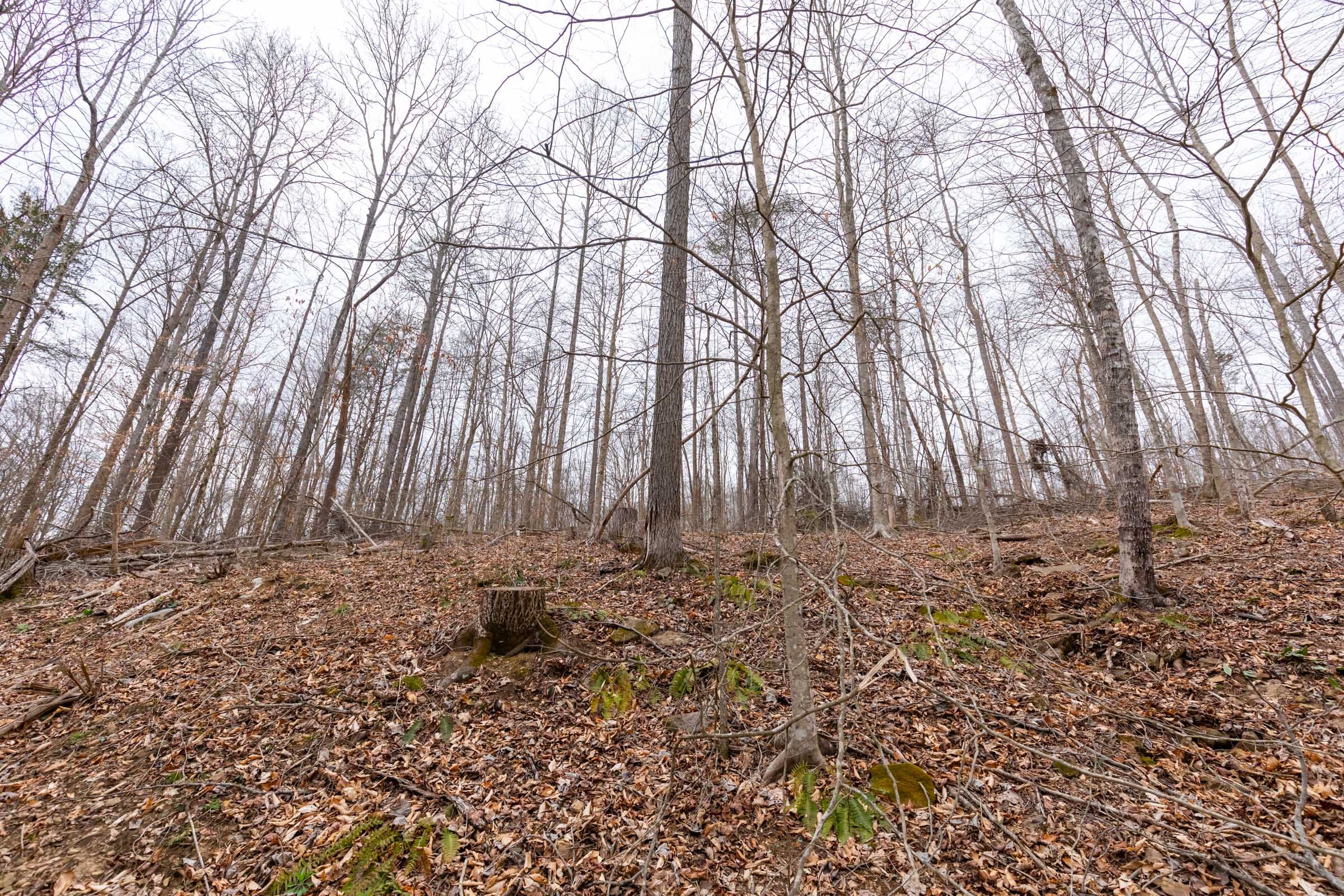 Creek Hollow Phase I Tract 14 photo 5
