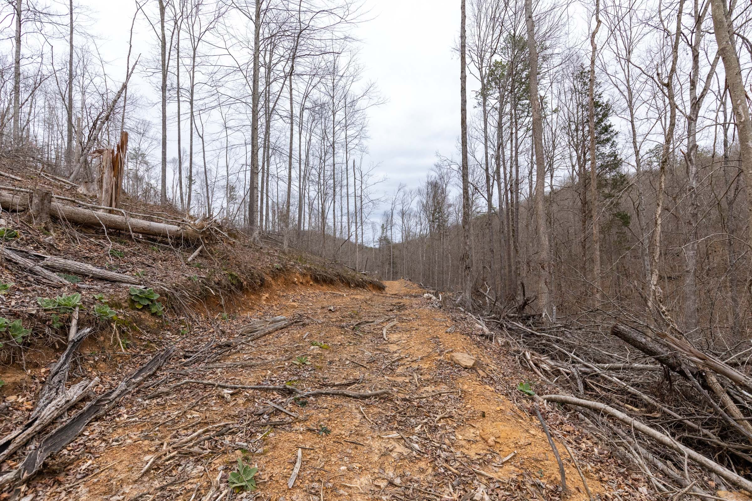 Creek Hollow Phase I Tract 14 photo 6