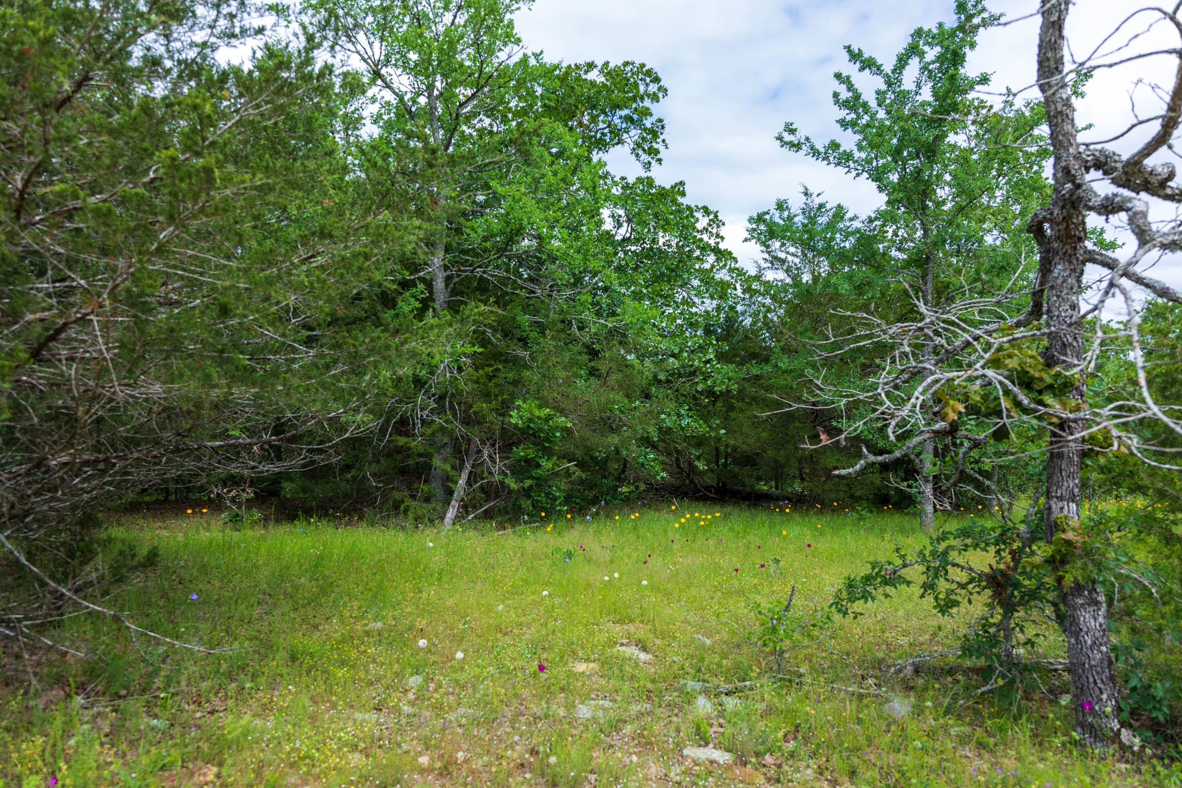 Falcon Crest Tract 29 photo 2