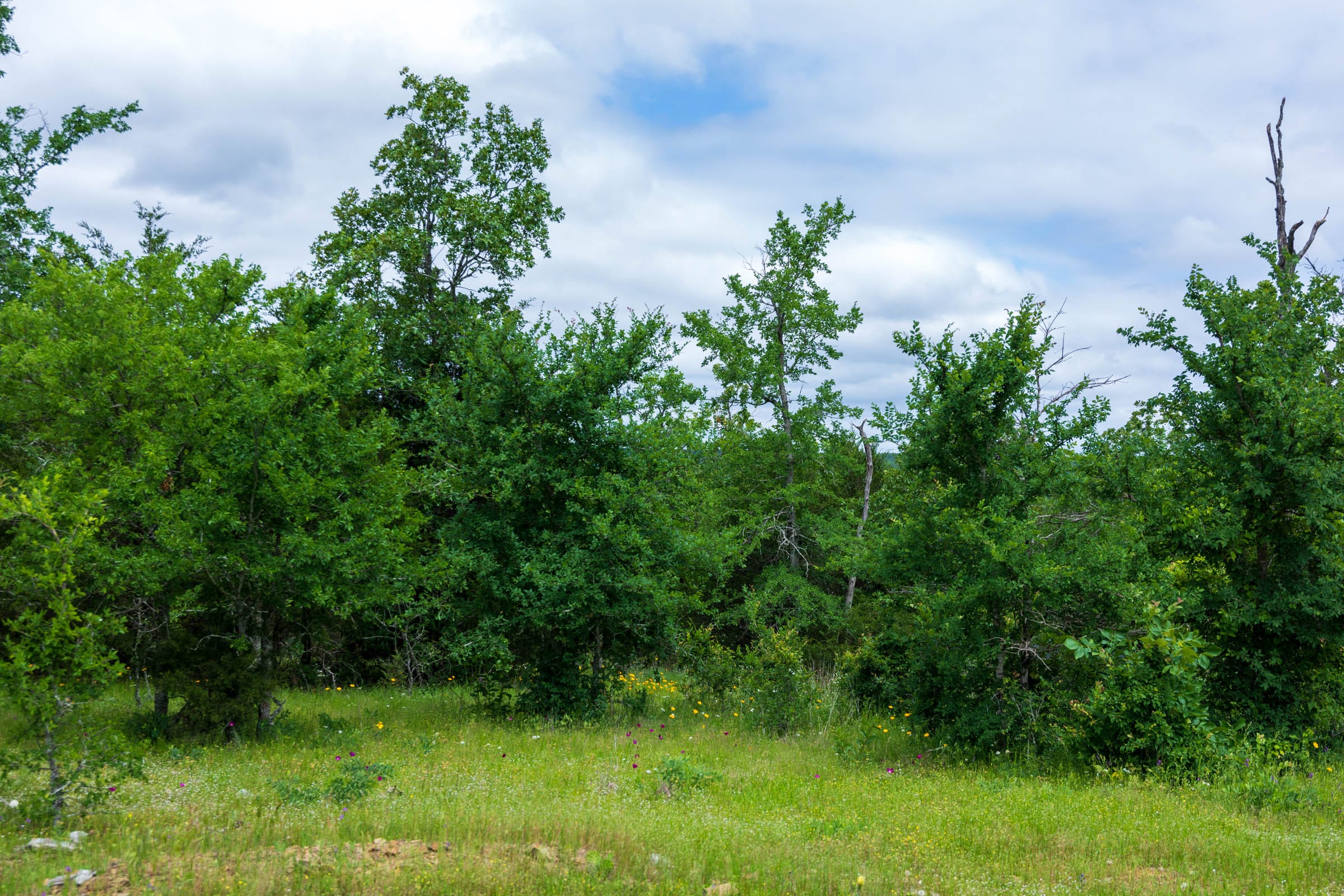 Falcon Crest Tract 29 photo 3