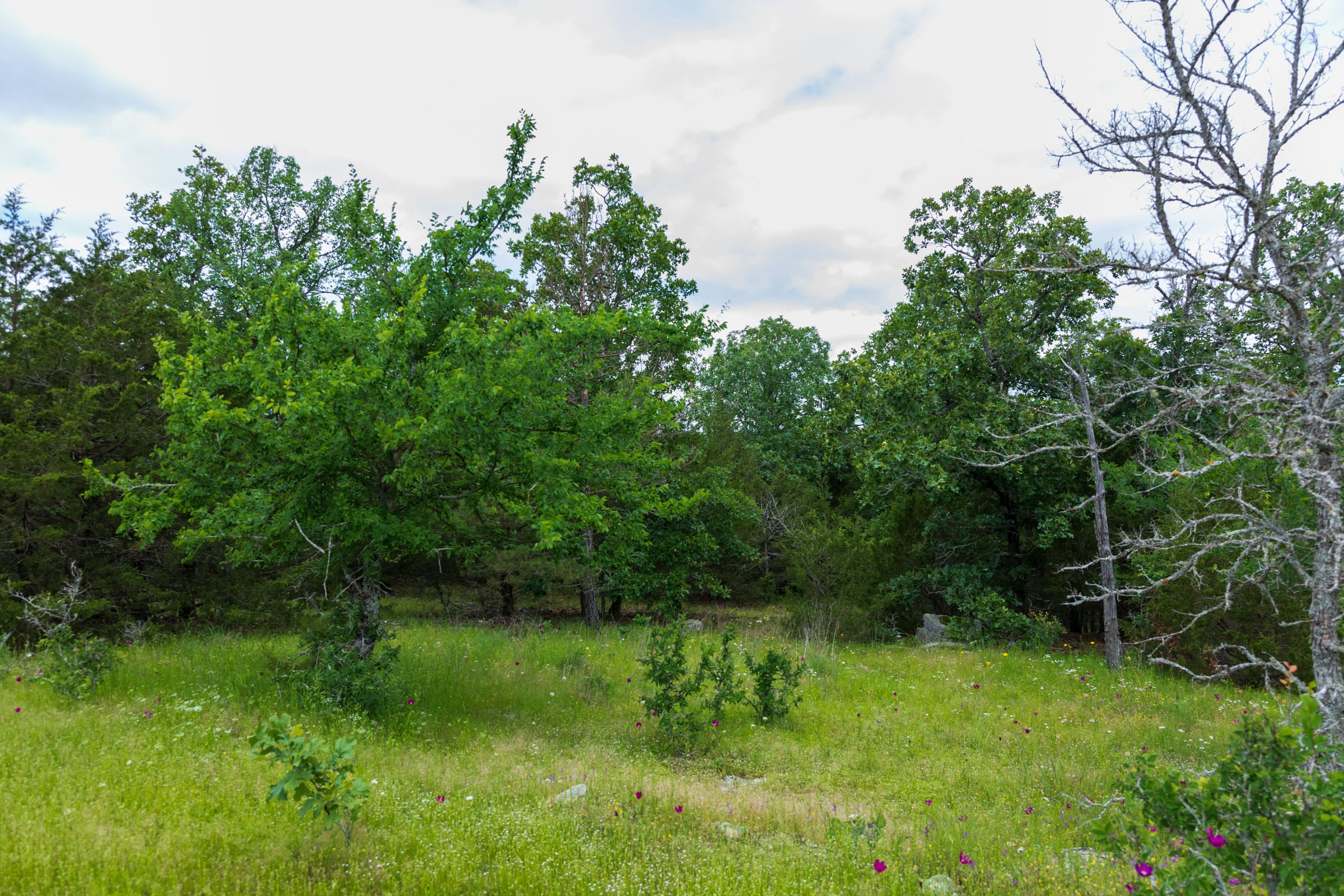 Falcon Crest Tract 29 photo 7
