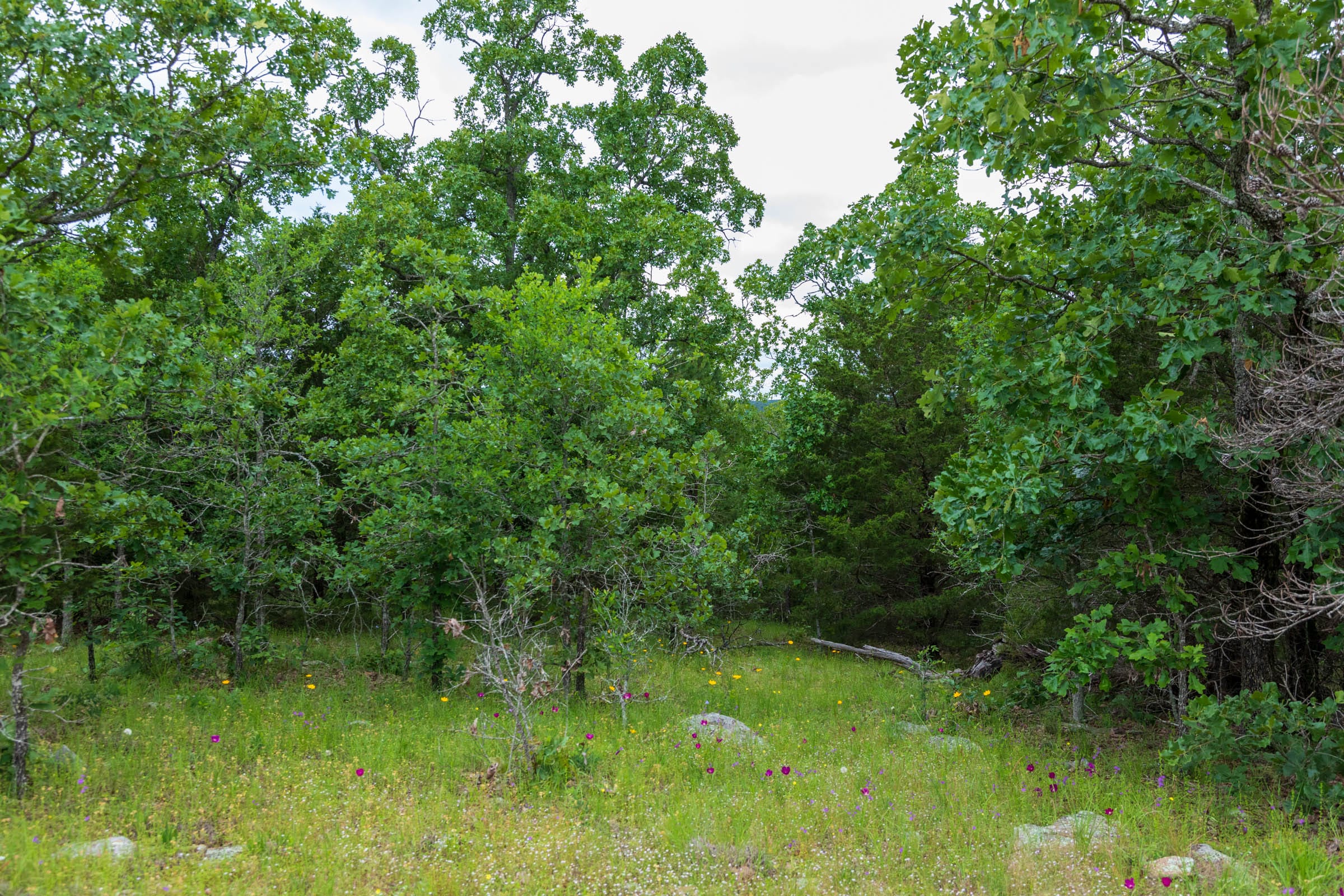 Falcon Crest Tract 29 photo 10