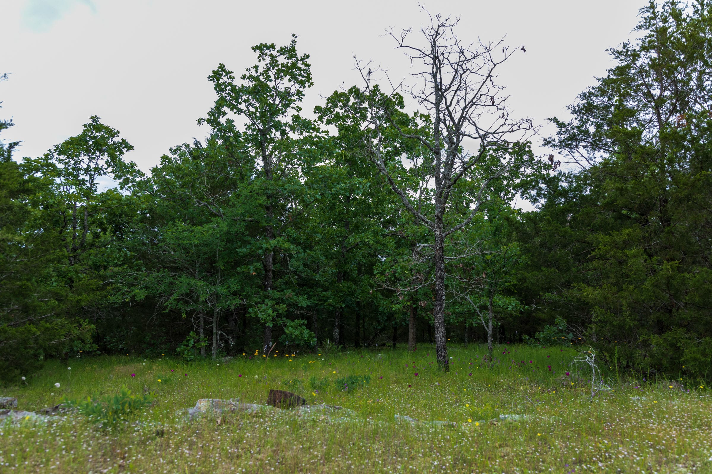 Falcon Crest Tract 29 photo 11