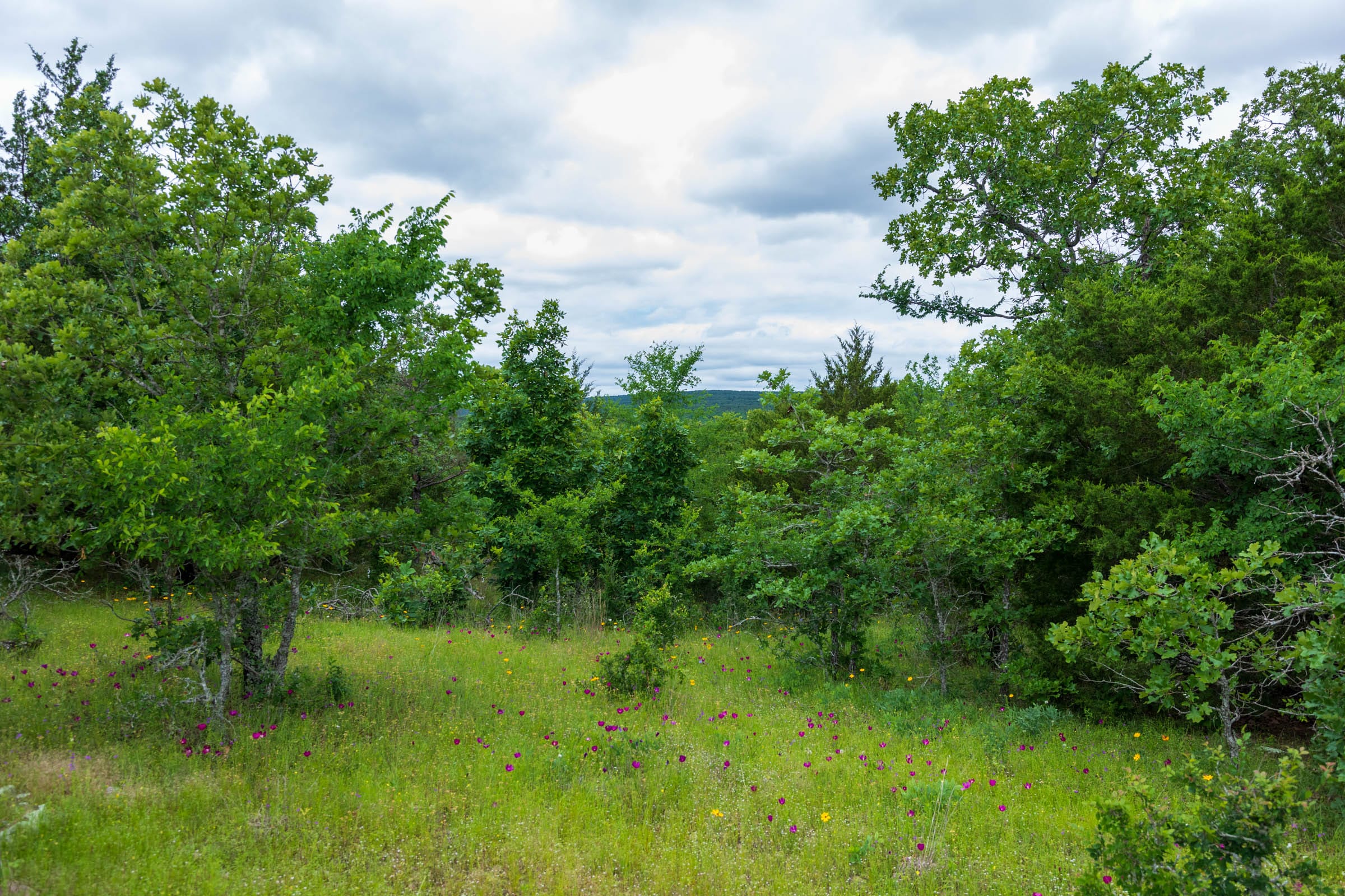 Falcon Crest Tract 29 photo 14
