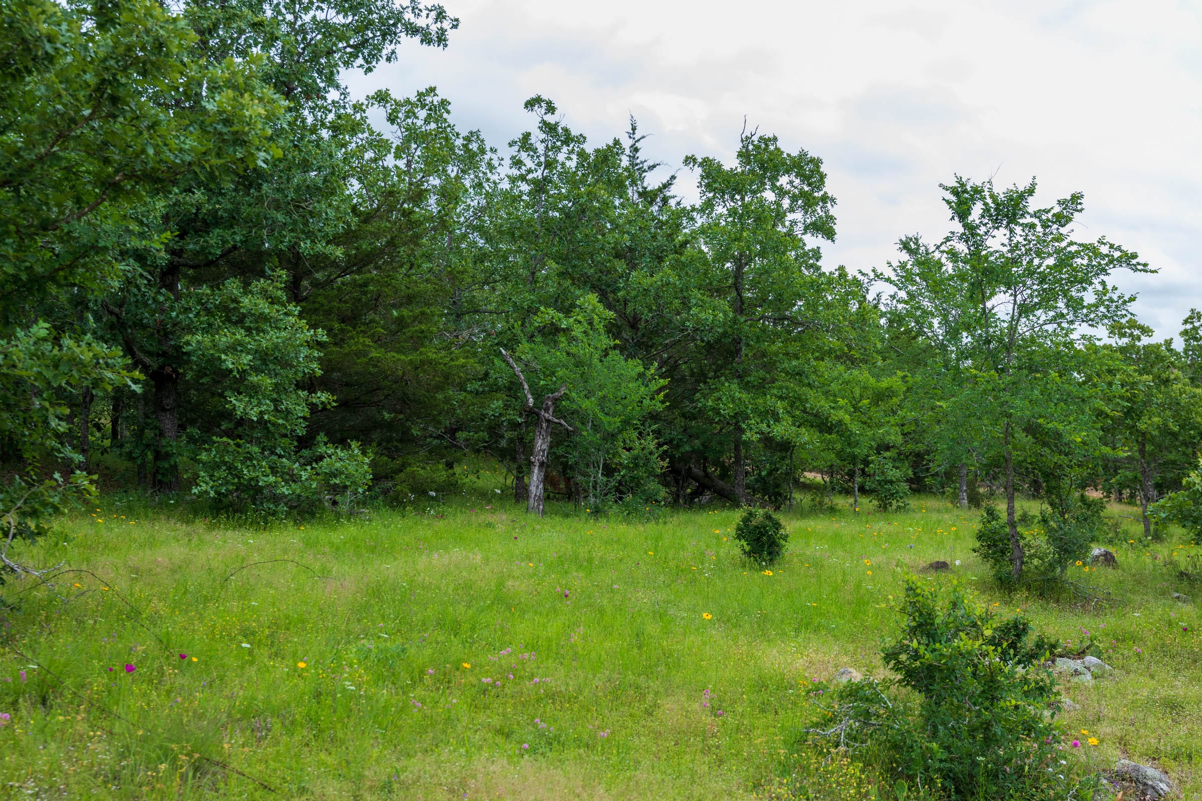 Falcon Crest Tract 29 photo 15