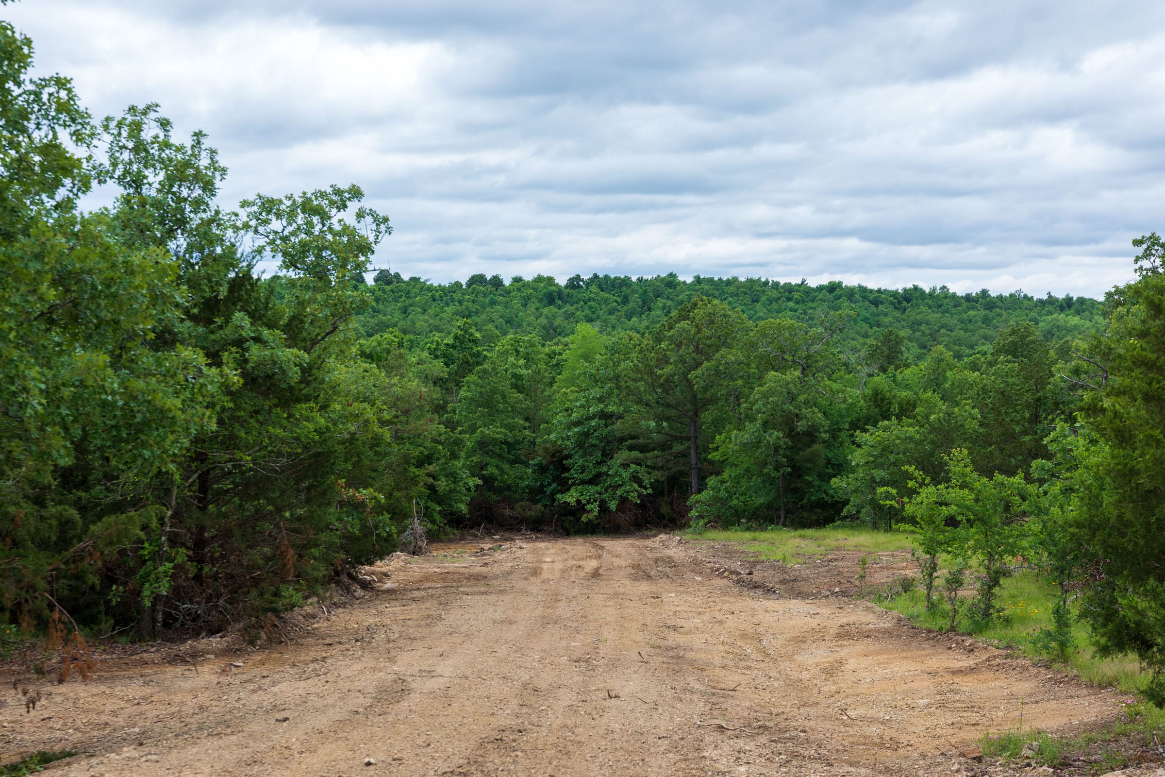 Falcon Crest Tract 29 photo 17
