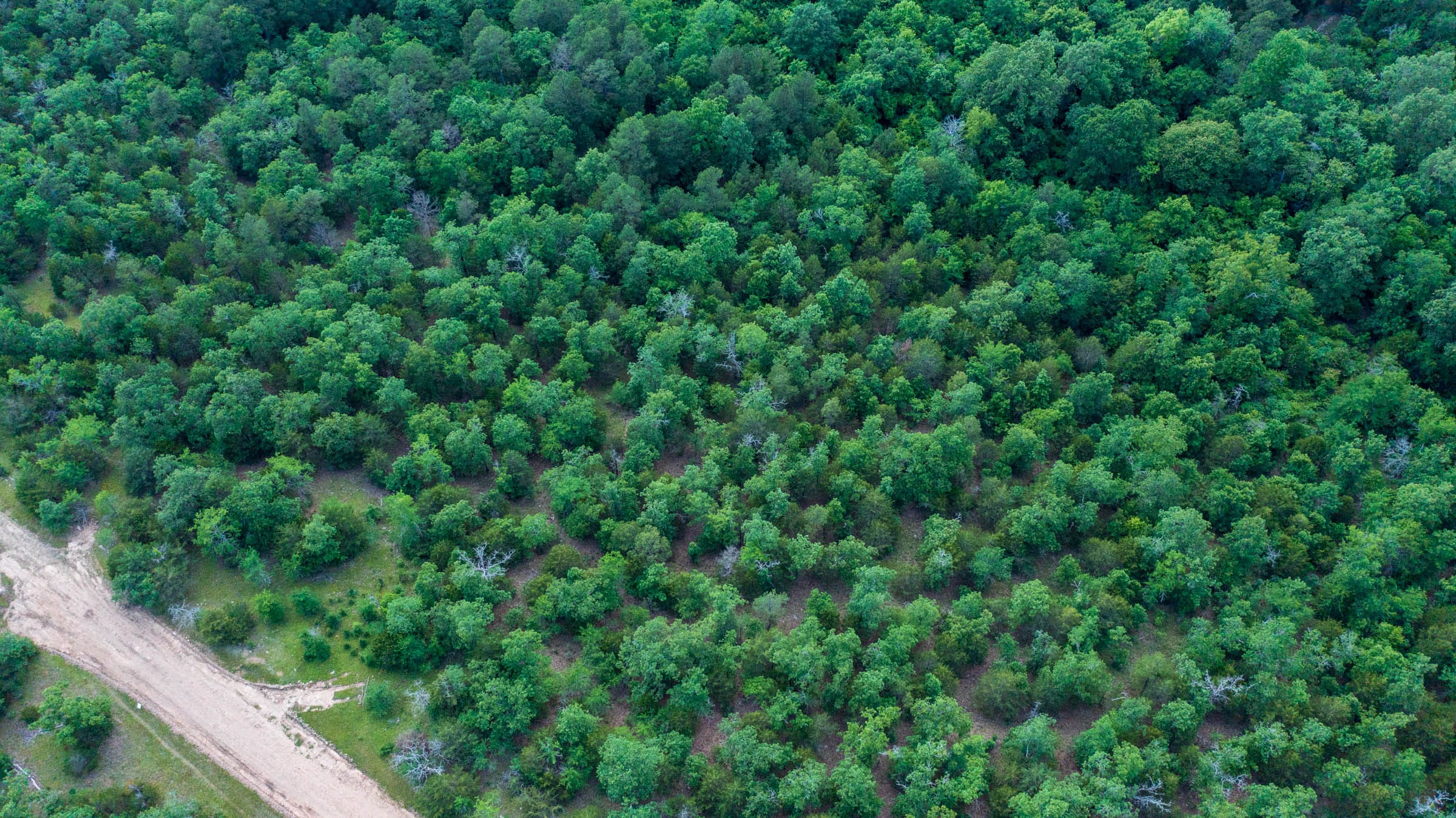 Falcon Crest Tract 29 photo 19