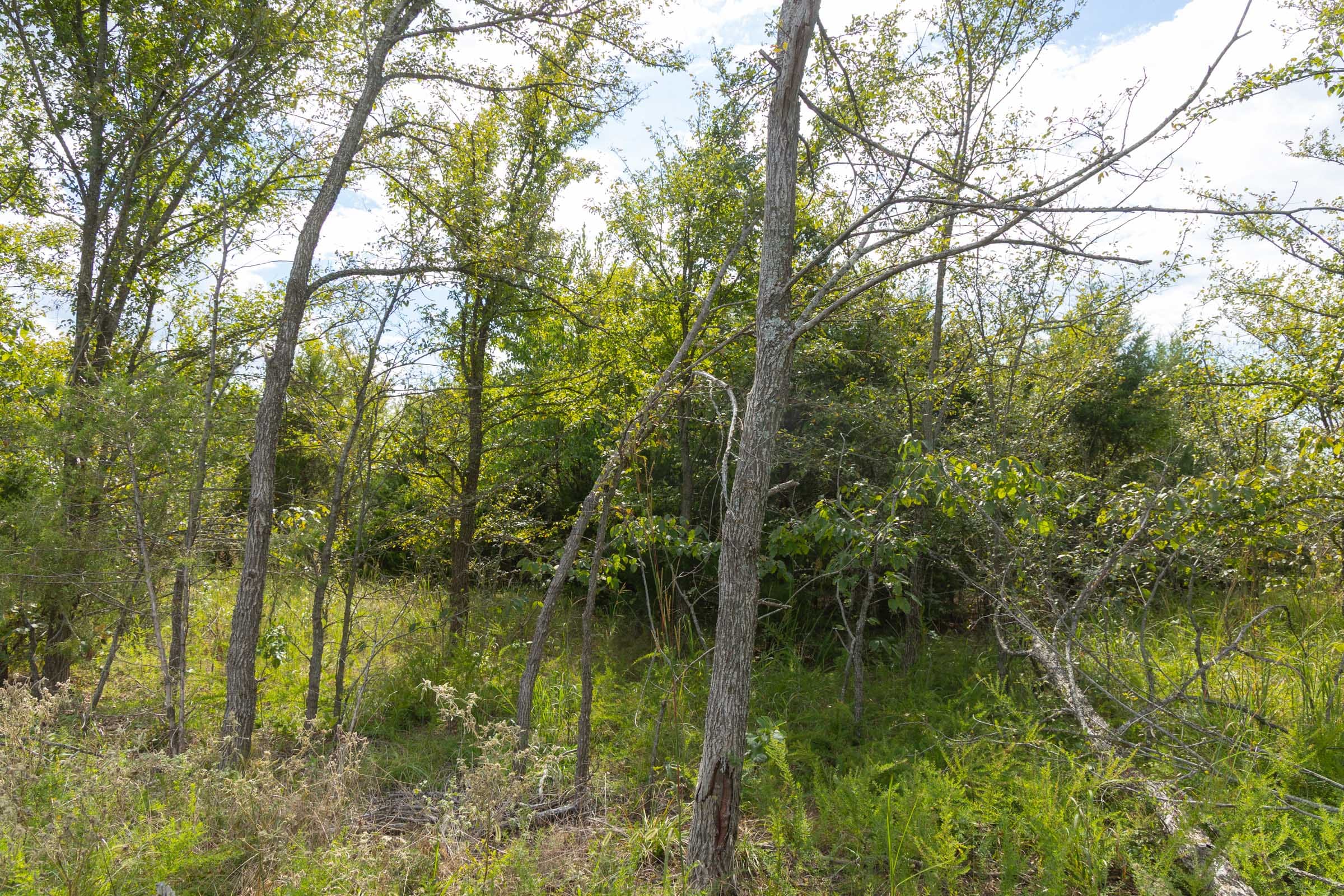 Reserves At Cattail Cove Phase II Tract 102 photo 11