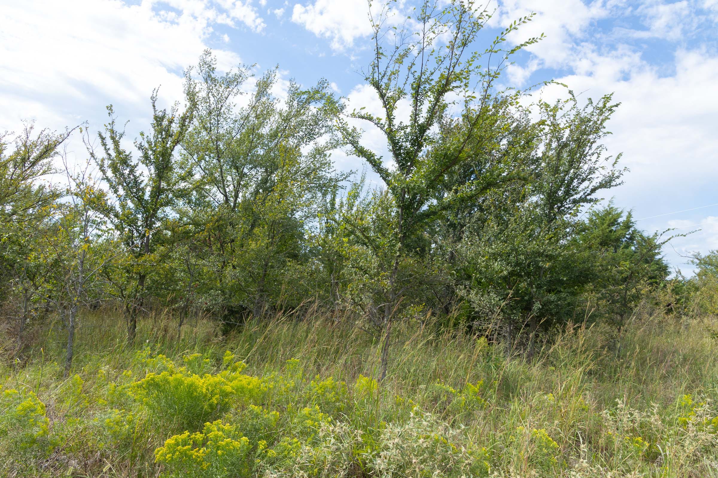 Reserves At Cattail Cove Phase II Tract 102 photo 10