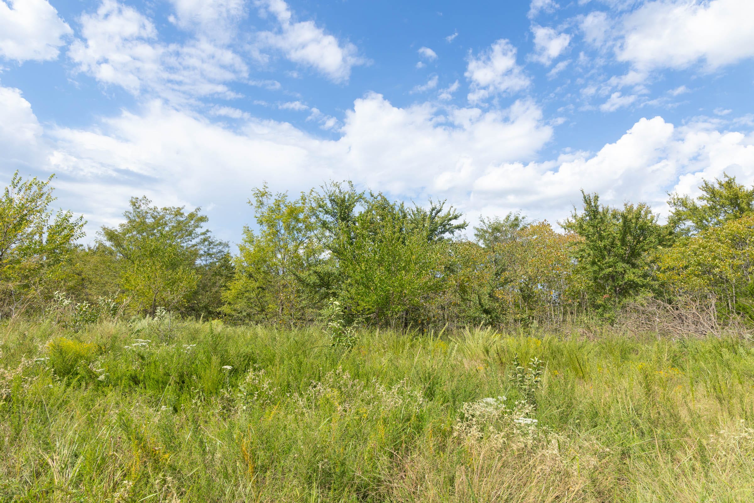 Reserves At Cattail Cove Phase II Tract 102 photo 3